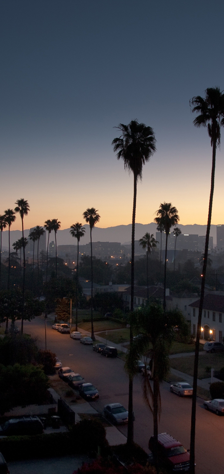 Скачать картинку Города, Ночь, Пальмы, Пальма, Дом, Улица, Калифорния, Лос Анджелес, Сделано Человеком в телефон бесплатно.