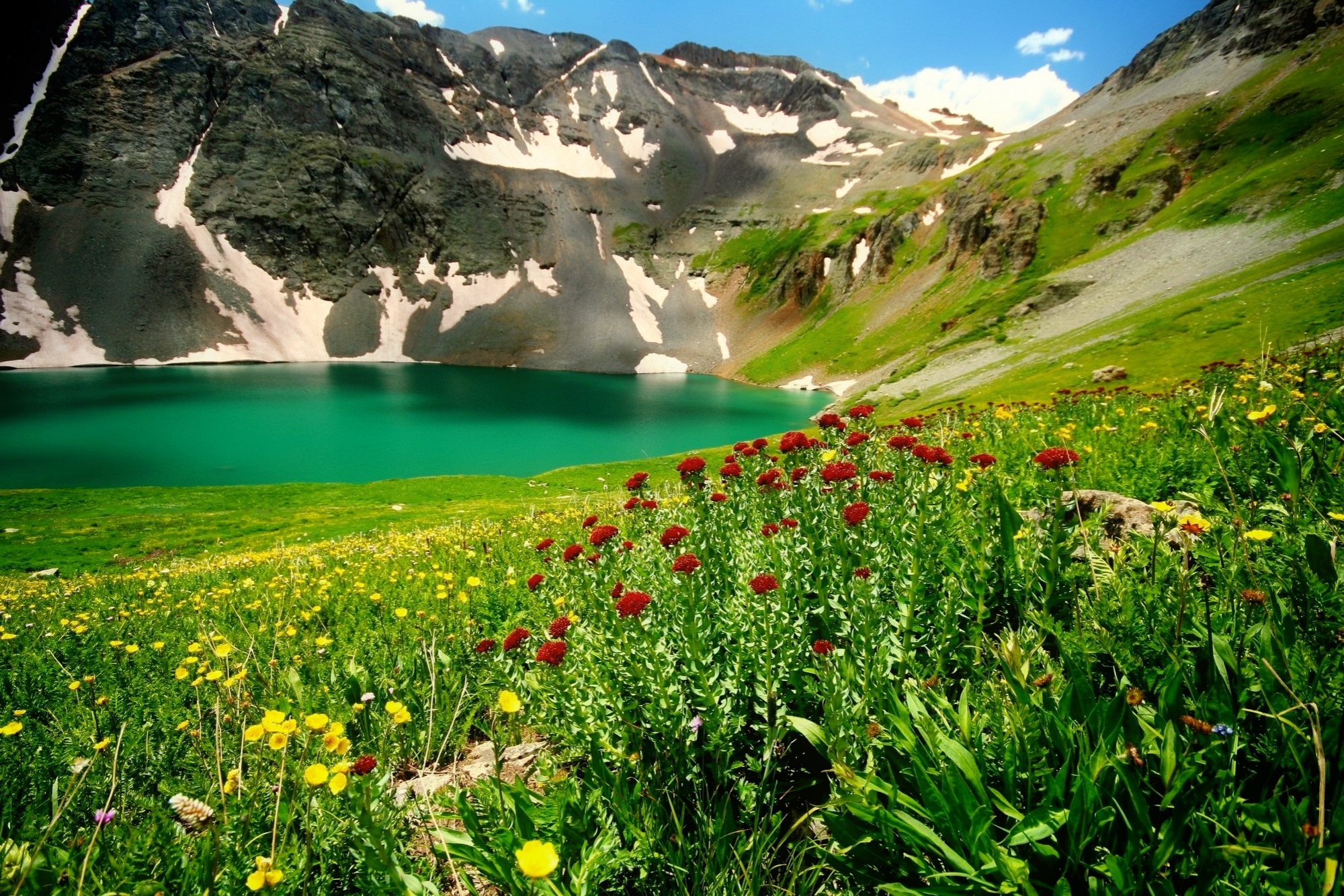 Скачать обои бесплатно Озера, Гора, Озеро, Цветок, Ландшафт, Земля/природа картинка на рабочий стол ПК