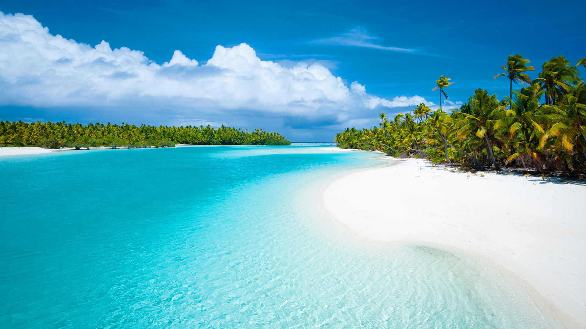 Free download wallpaper Sea, Beach, Ocean, Earth, Tropical, Palm Tree on your PC desktop