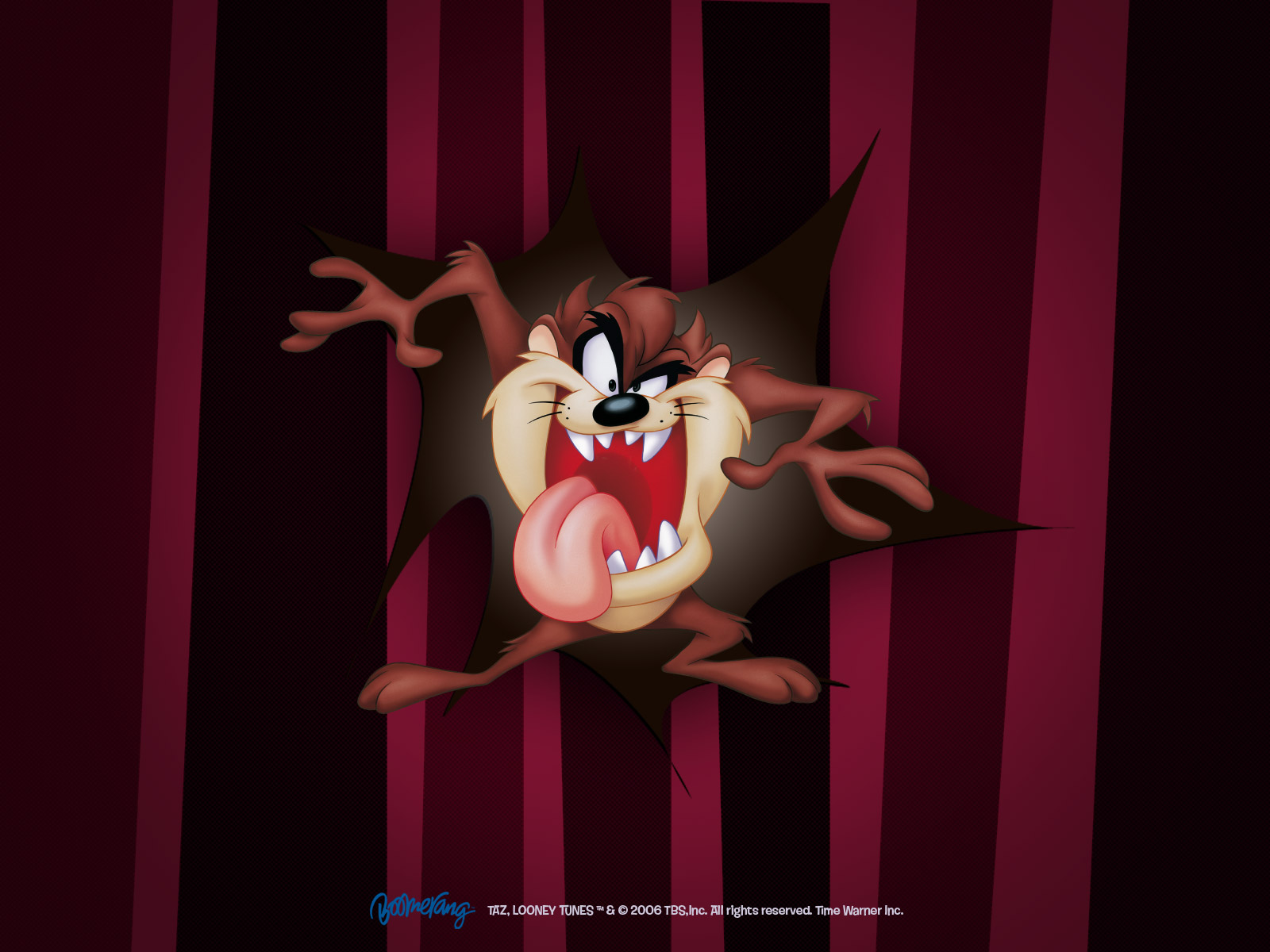 314407 скачать картинку тасманский дьявол (looney tunes), телешоу, веселые мелодии - обои и заставки бесплатно