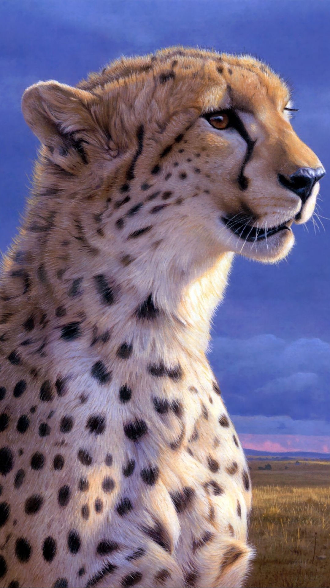 Download mobile wallpaper Cats, Cheetah, Animal for free.