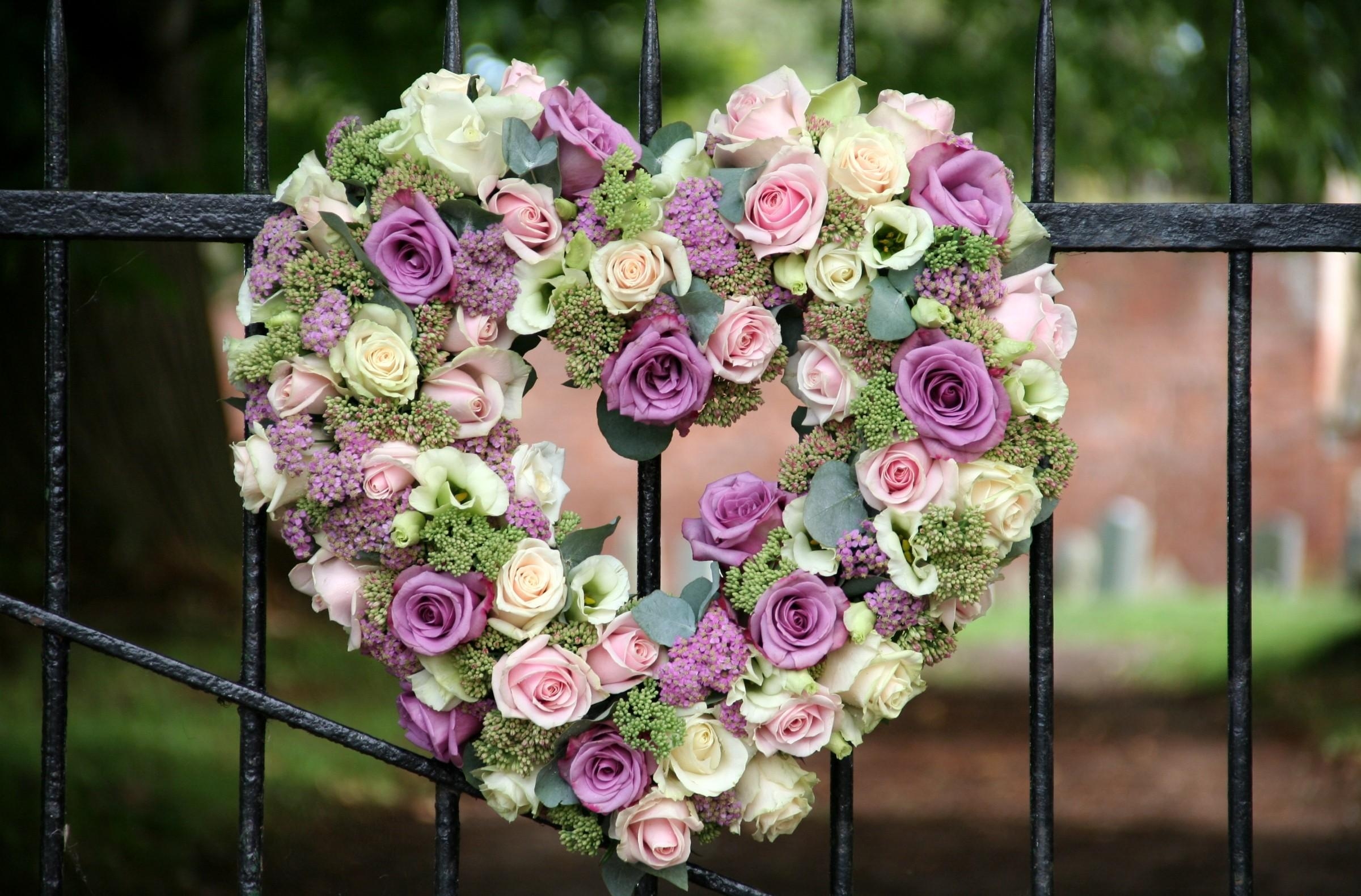 flowers, roses, fence, heart, composition, lisianthus russell, lisiantus russell