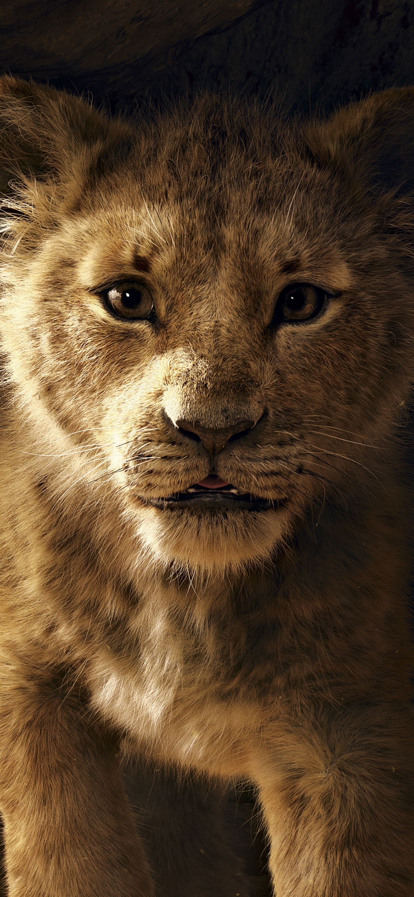 simba, movie, the lion king (2019) HD wallpaper