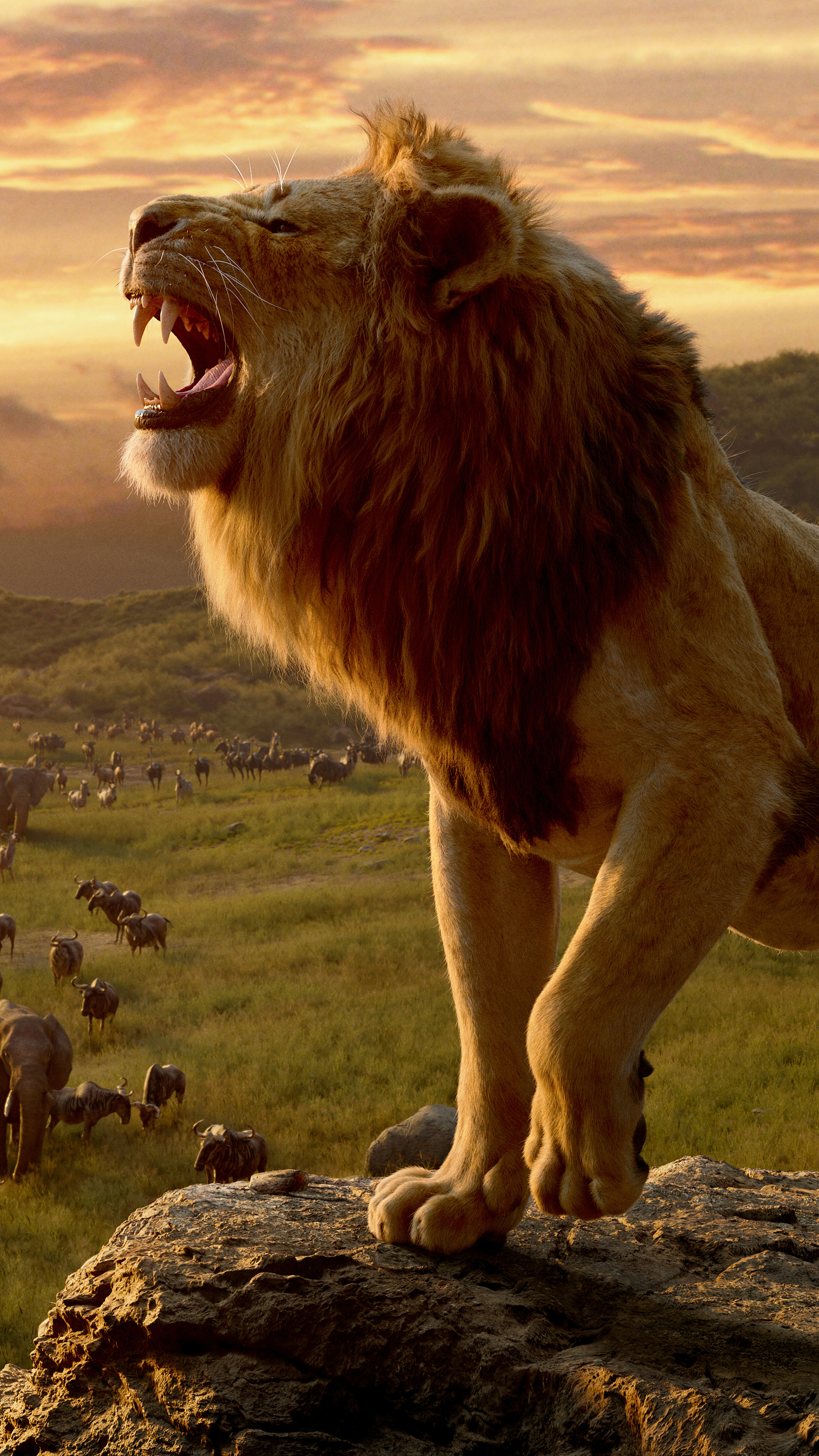 無料モバイル壁紙映画, ライオン, ムファサ（ライオンキング）, ライオン・キング (2019)をダウンロードします。