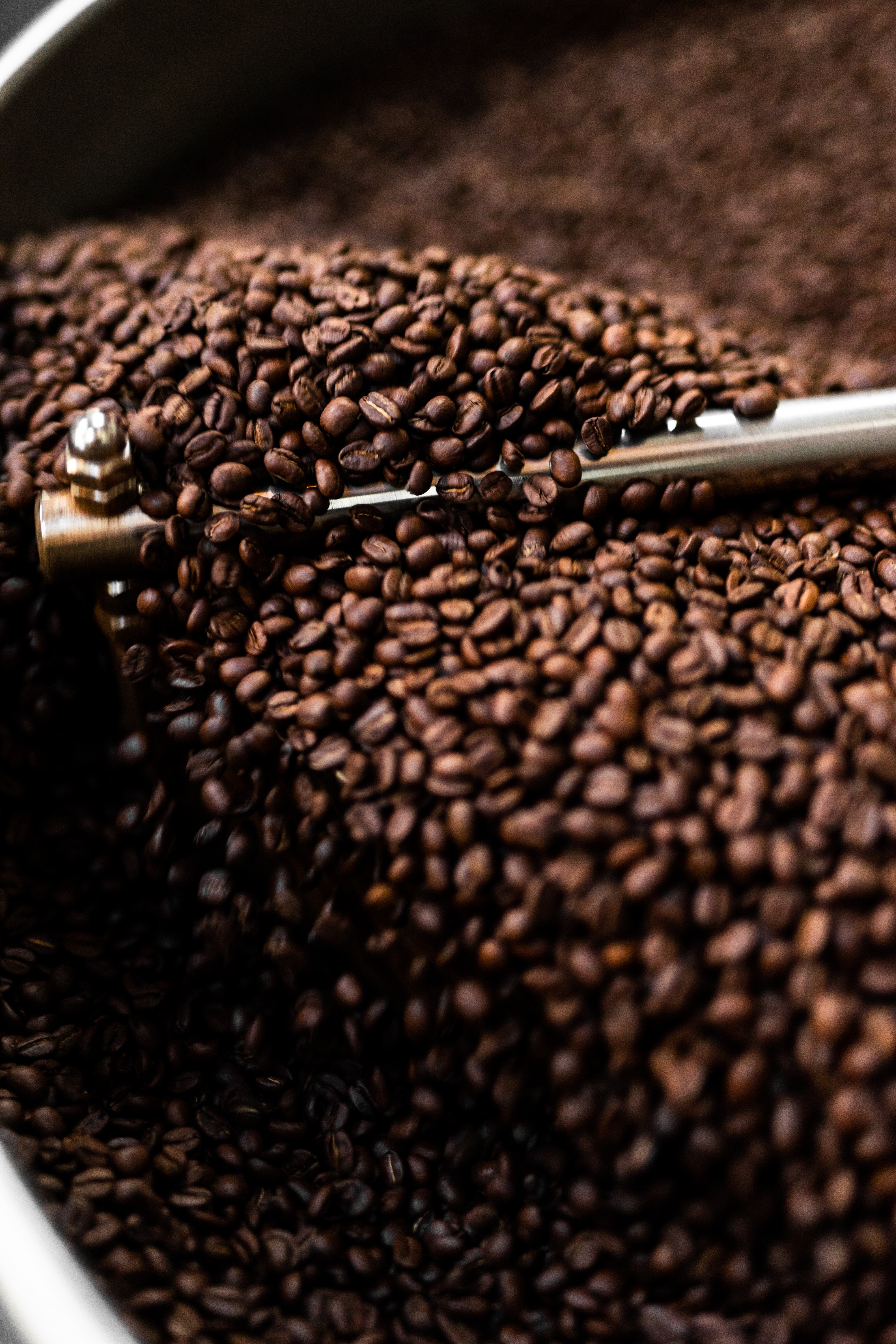 brown, coffee, food, grains, coffee beans, grain, coffee grinder