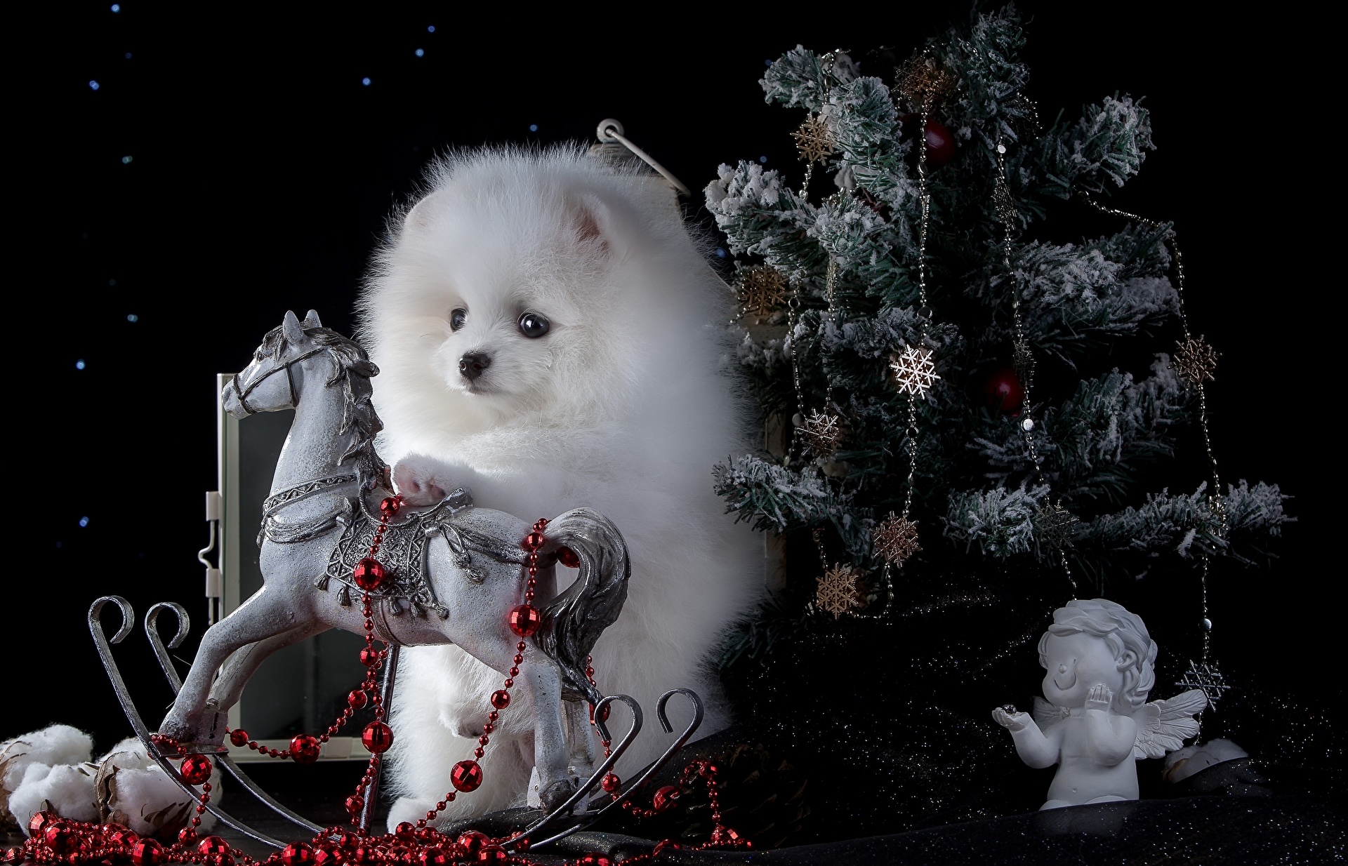 Download mobile wallpaper Dogs, Dog, Christmas, Holiday, Animal, Christmas Tree, Pomeranian for free.