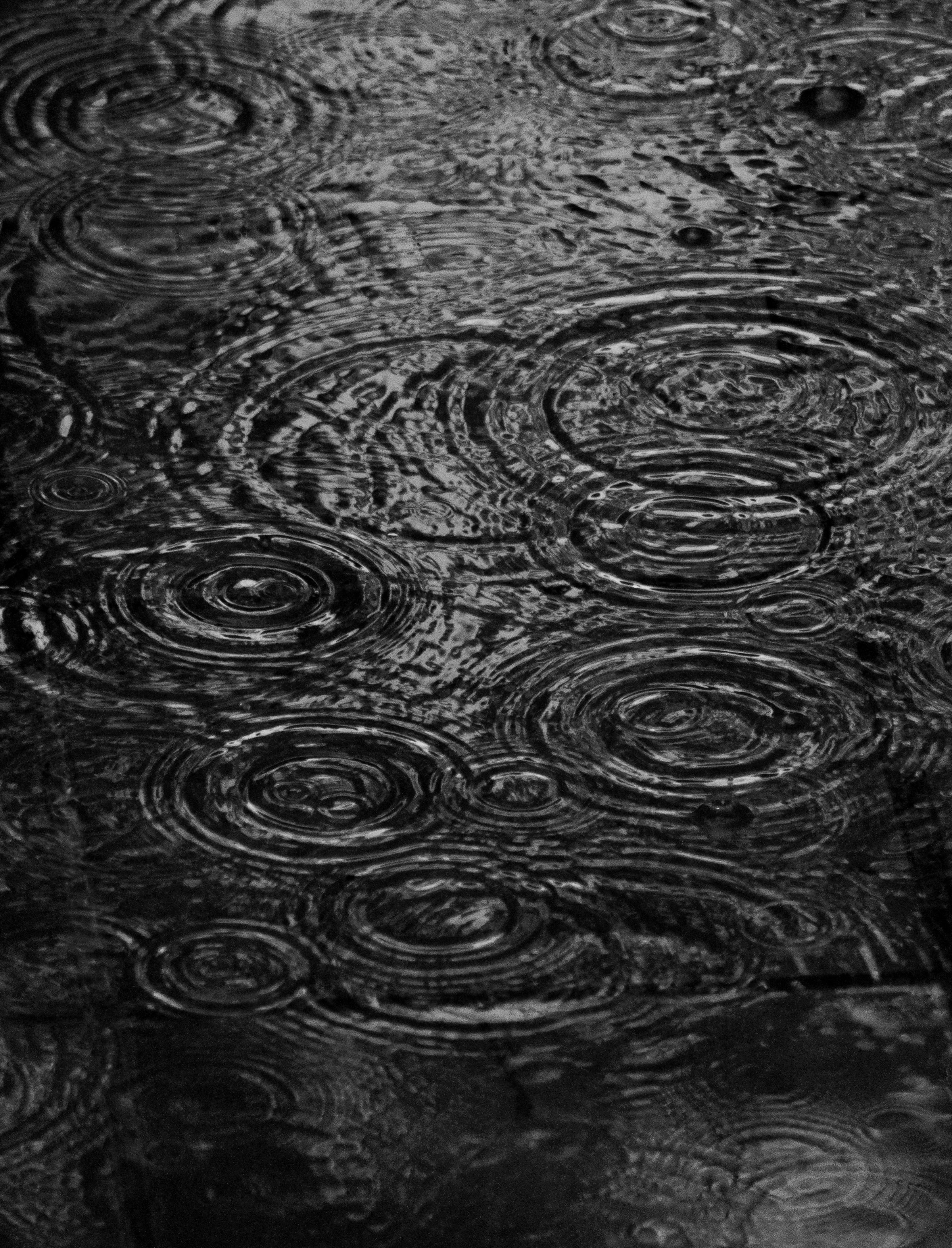 nature, water, drops, ripples, ripple, divorces