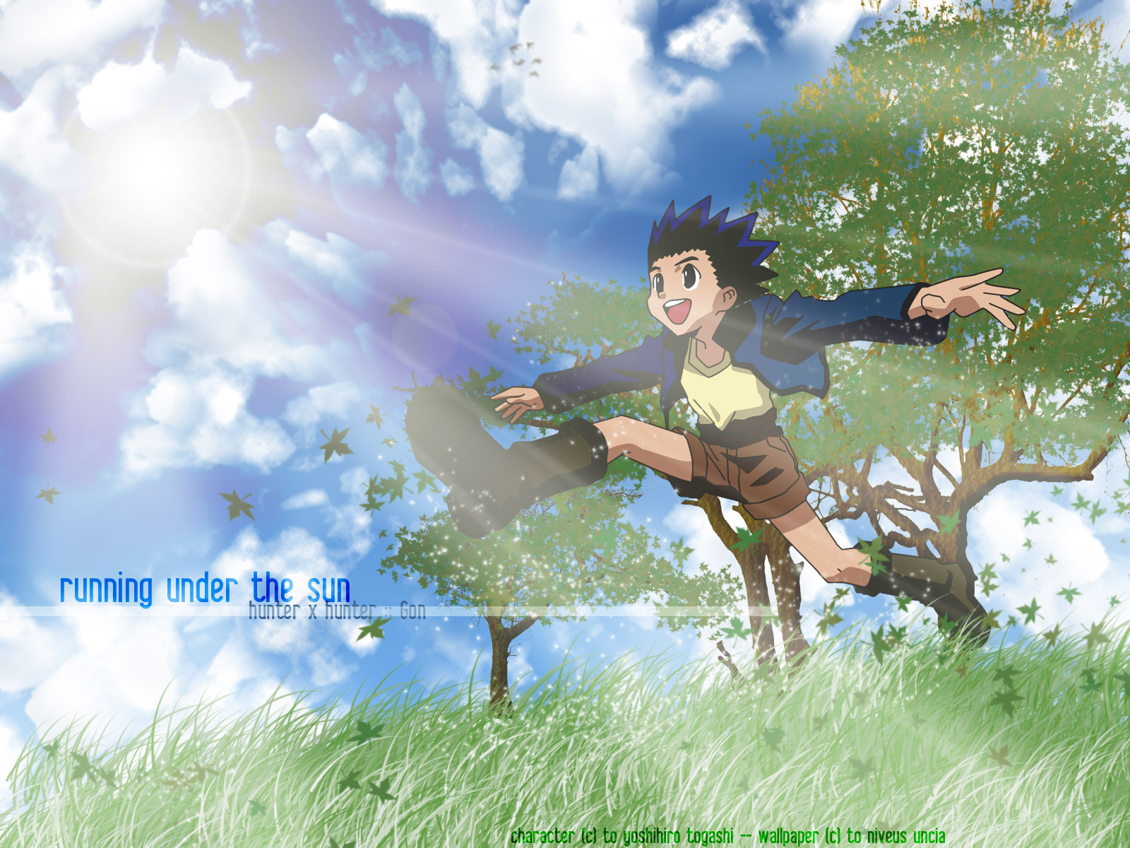 Free download wallpaper Anime, Gon Freecss, Hunter X Hunter on your PC desktop