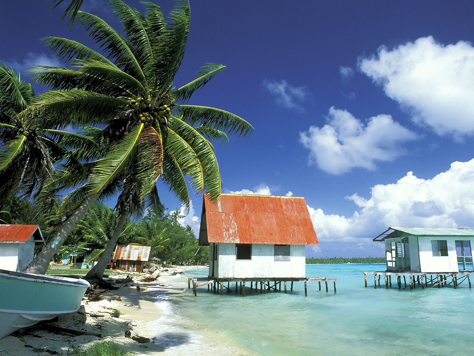 Free download wallpaper Landscape, Sky, Palms, Beach on your PC desktop