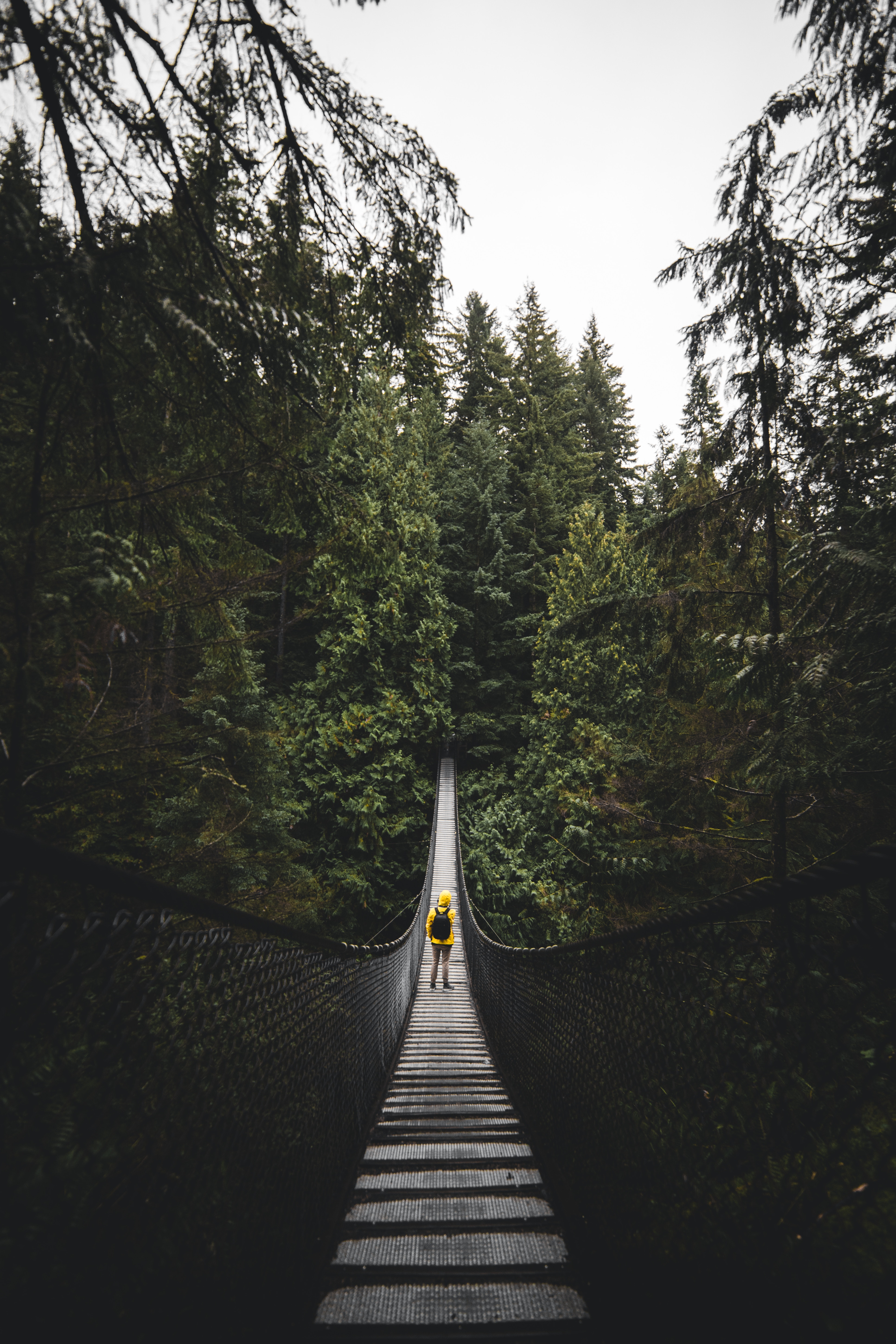 Download mobile wallpaper Vancouver, Canada, Bridge, Nature, Person, Human, Loneliness for free.
