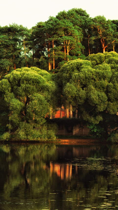 Descarga gratuita de fondo de pantalla para móvil de Lagos, Lago, Fotografía.