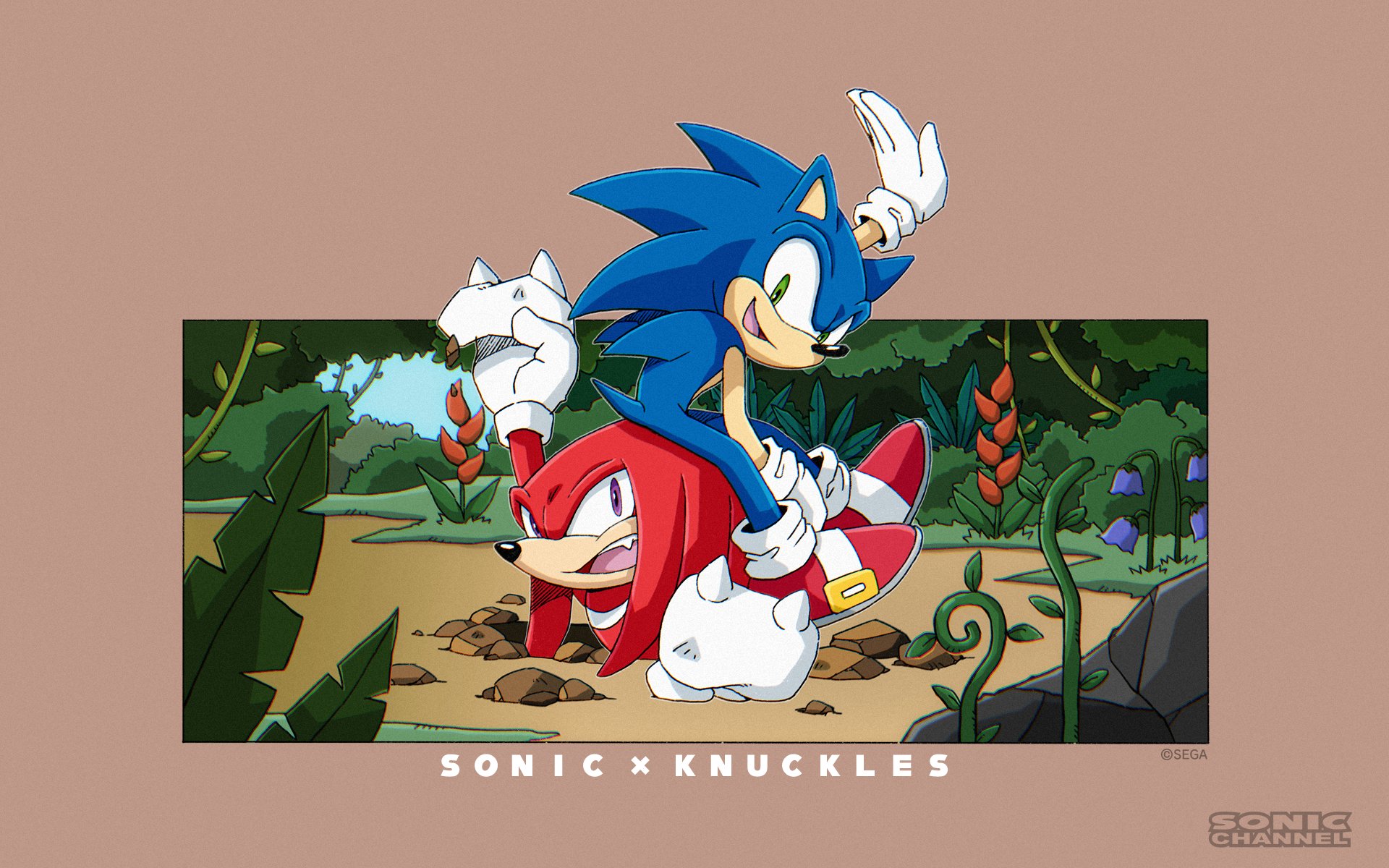 Baixar papel de parede para celular de Videogame, Sonic The Hedgehog, Knuckles O Echidna, Canal Do Sonic gratuito.