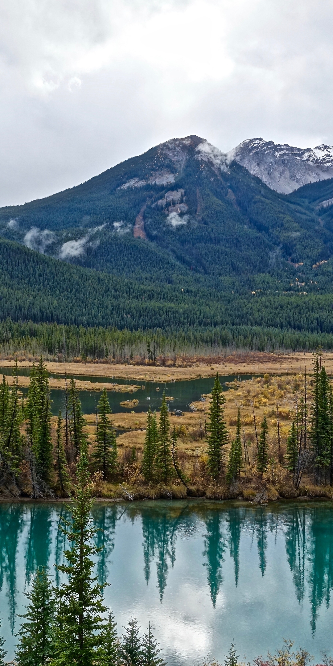 Download mobile wallpaper Landscape, Mountain, Reflection, Forest, Earth, River for free.