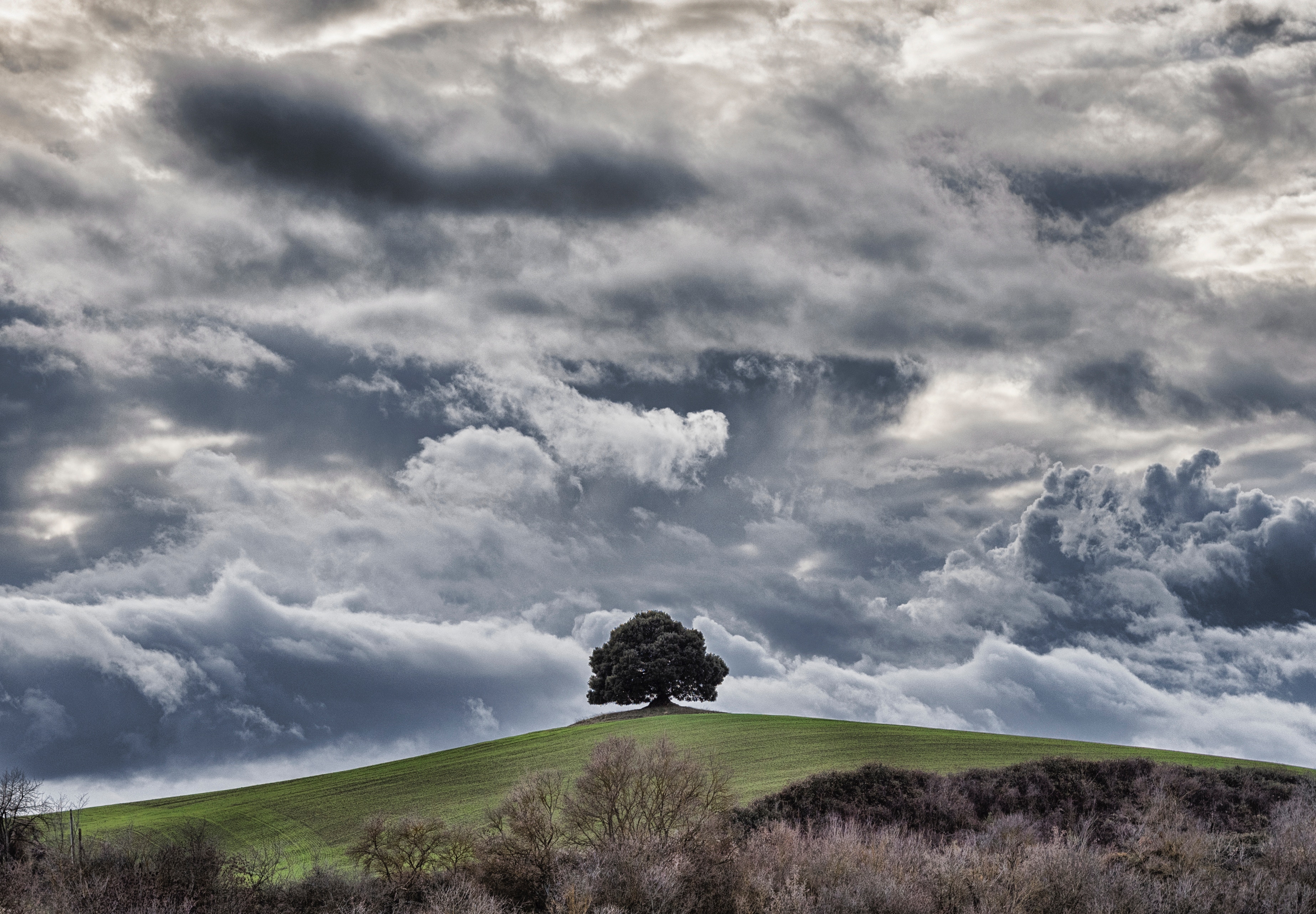 92076 скачать картинку облака, природа, холм, трава, небо, дерево, пасмурно - обои и заставки бесплатно