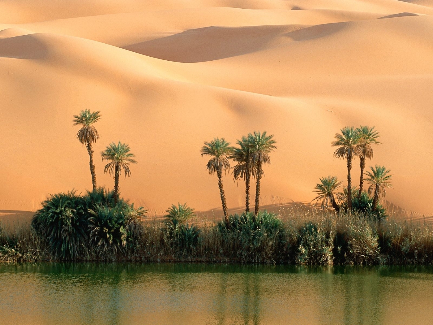 Download mobile wallpaper Sand, Landscape, Desert, Palms for free.