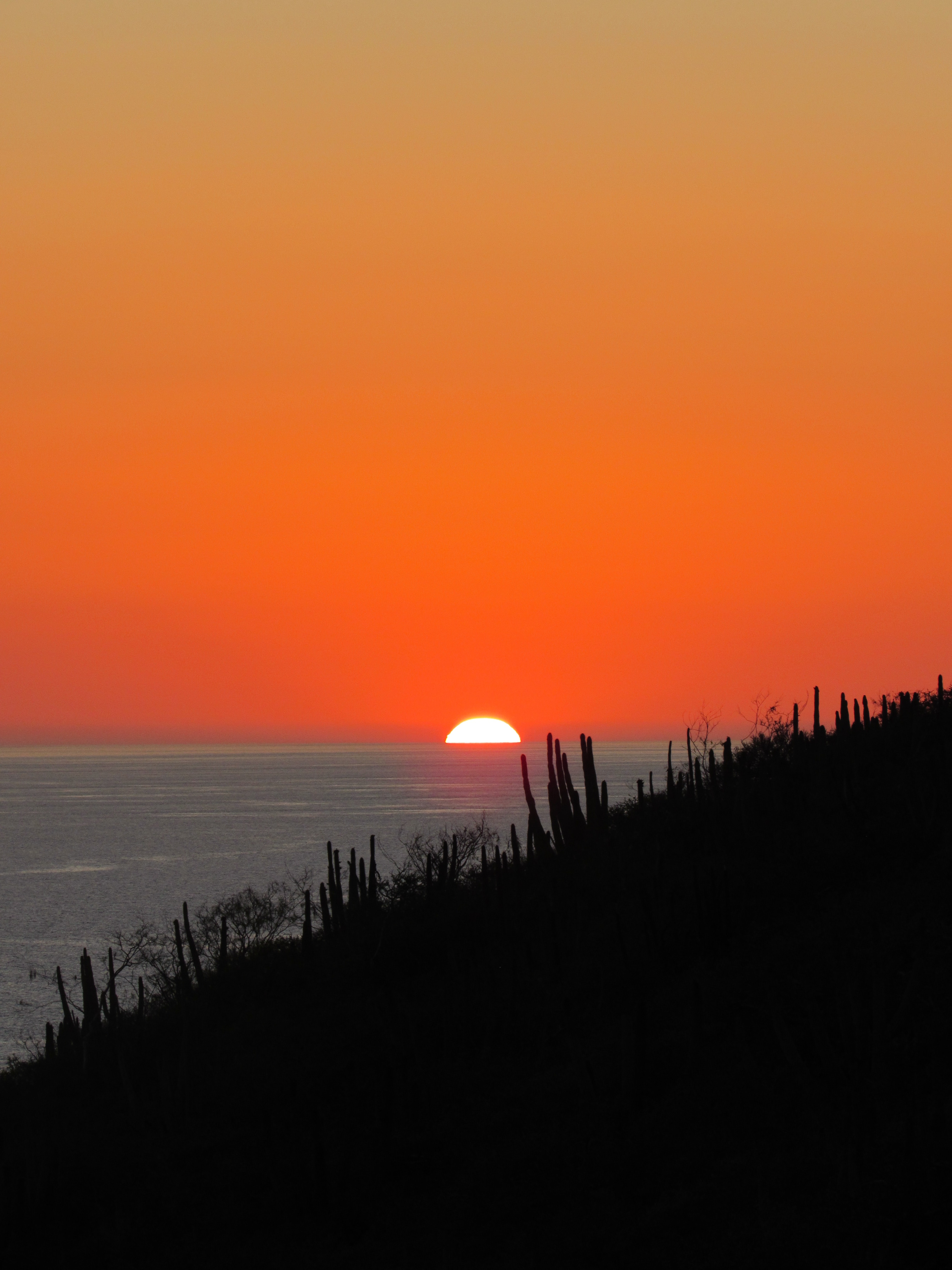 Download mobile wallpaper Sea, Horizon, Sunset, Sun, Nature, Dark for free.