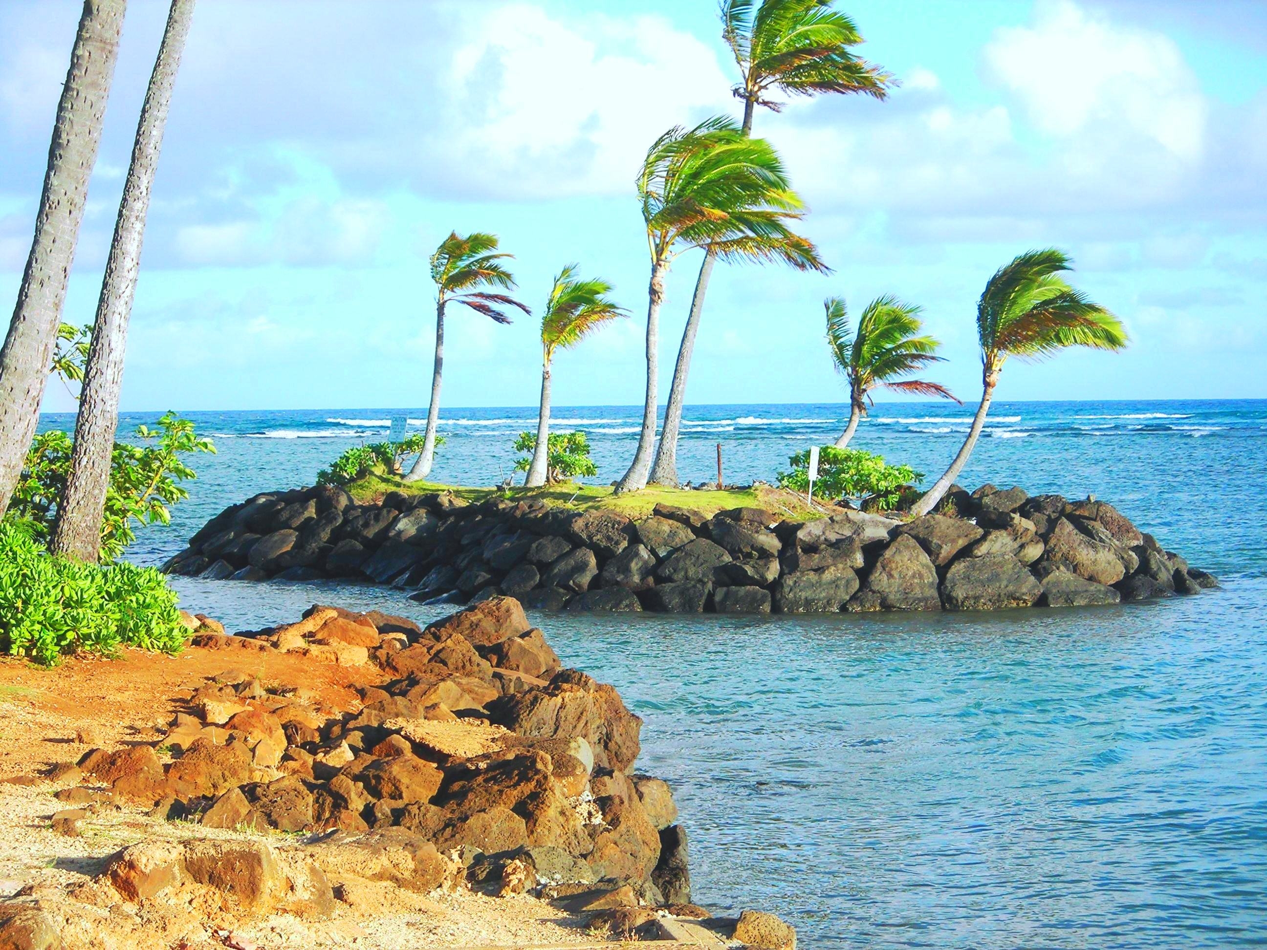 island, palms, nature, tropics download HD wallpaper