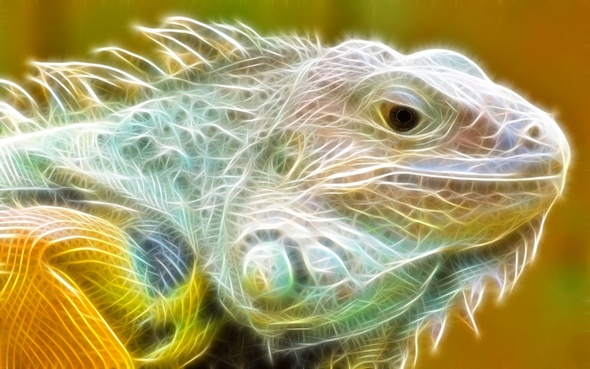 Download mobile wallpaper Animal, Reptiles, Iguana for free.