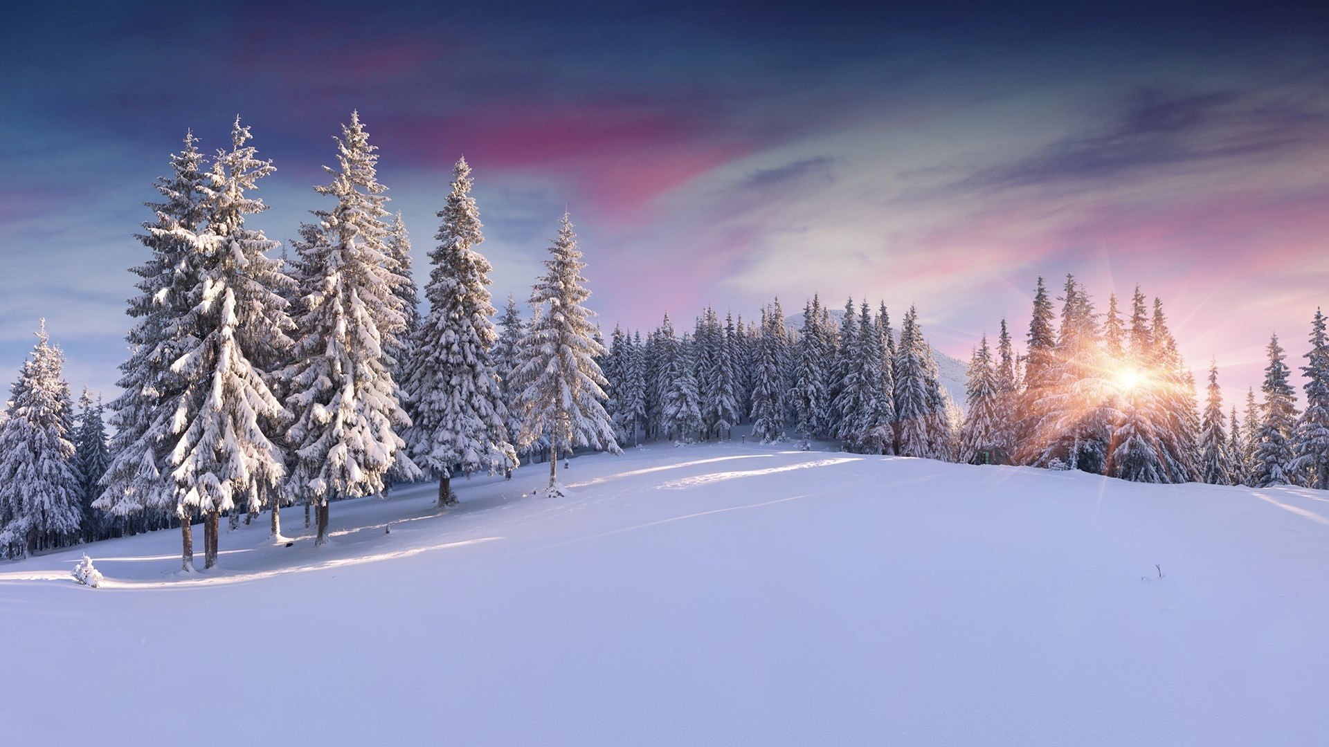 Descarga gratis la imagen Invierno, Nieve, Bosque, Árbol, Atardecer, Tierra/naturaleza en el escritorio de tu PC