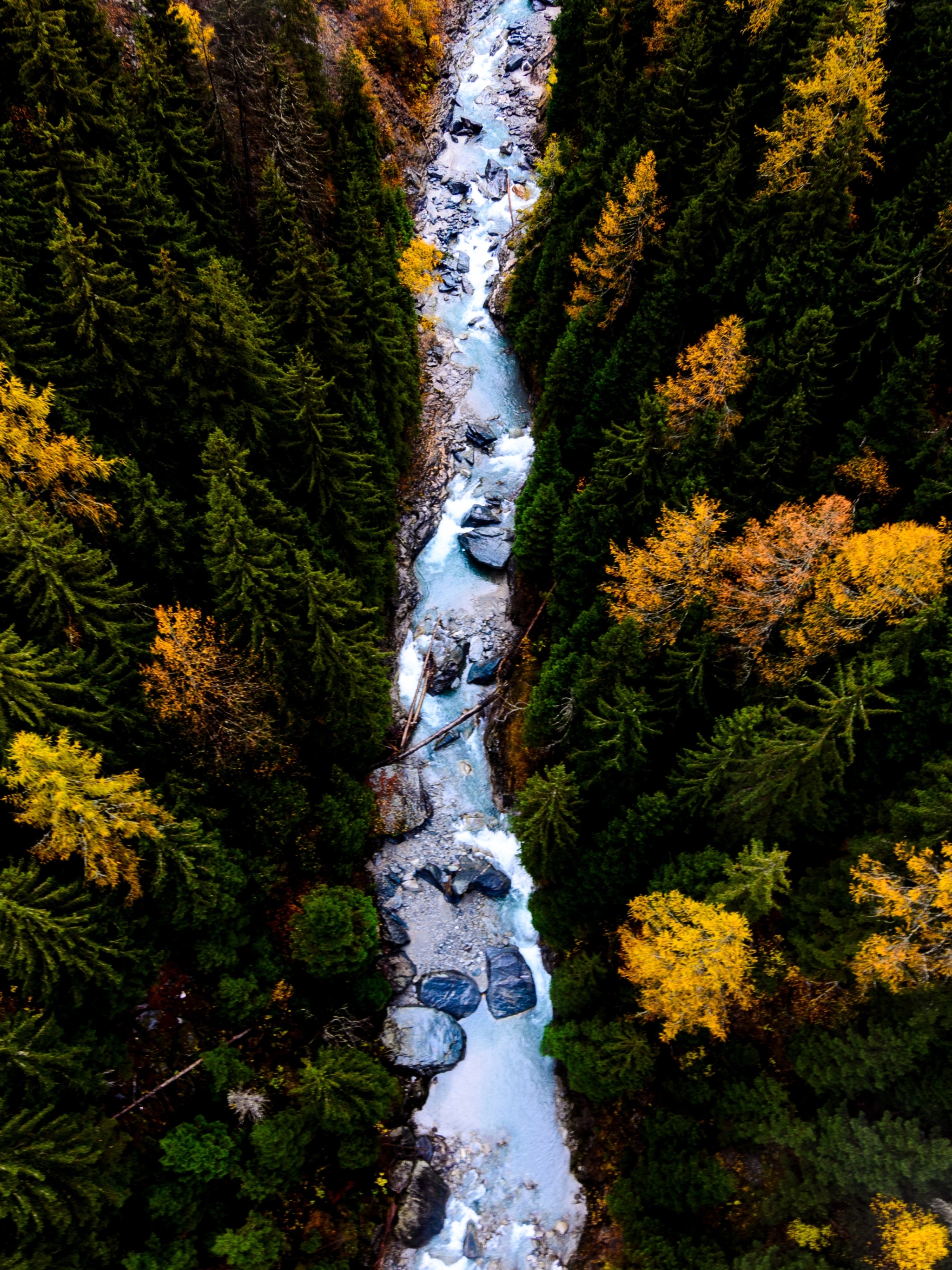 Download mobile wallpaper Nature, Forest, Earth, River, Aerial for free.