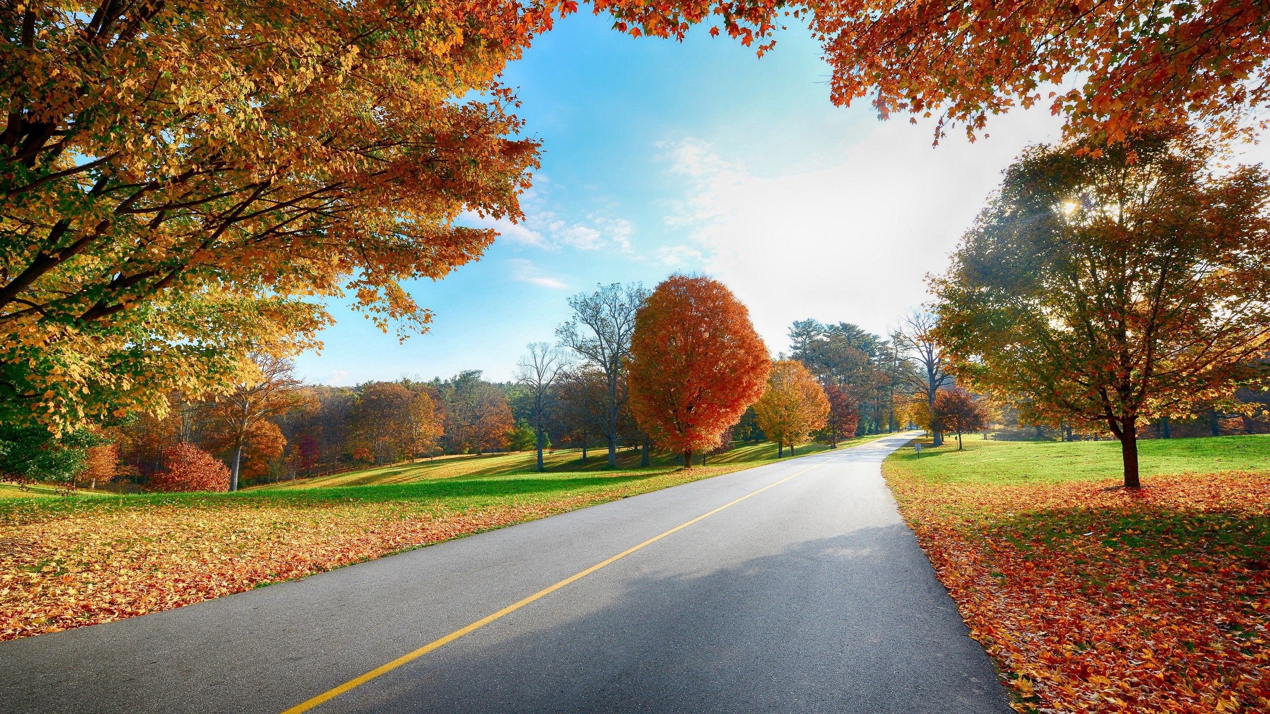 Download mobile wallpaper Autumn, Trees, Markup, Nature, Road for free.
