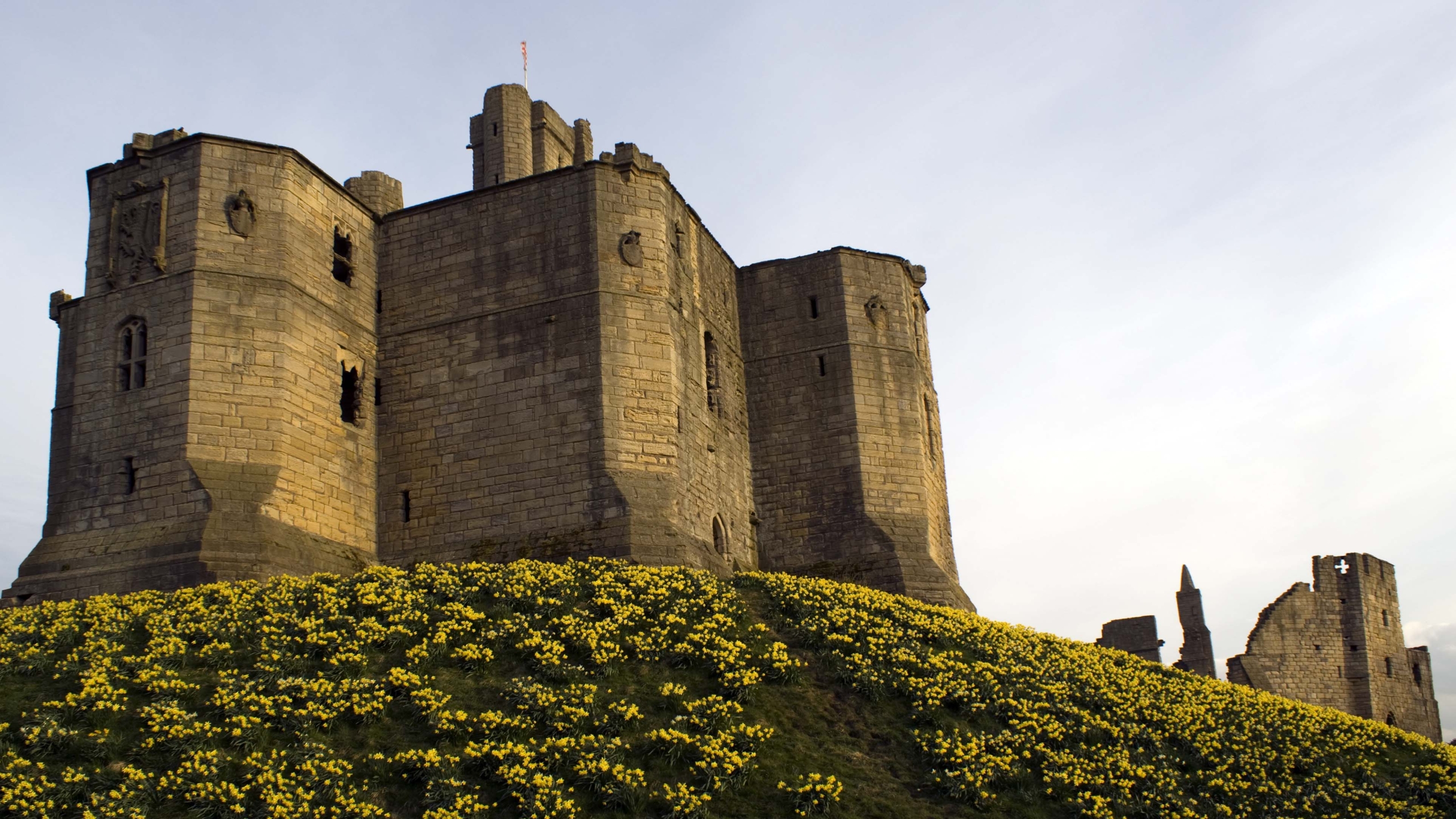 345860 baixar papel de parede feito pelo homem, castelo de warkworth, castelos - protetores de tela e imagens gratuitamente