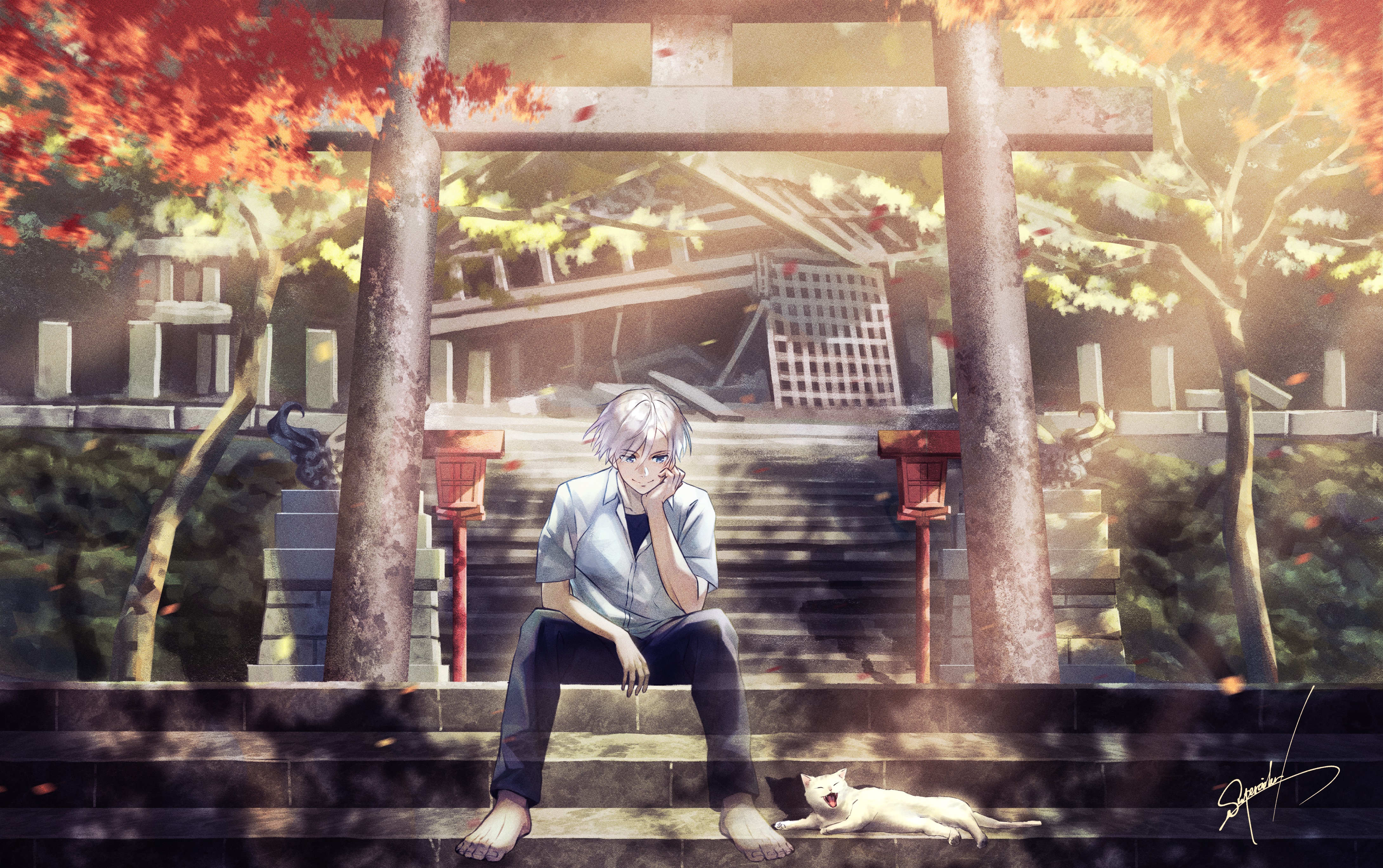 Download mobile wallpaper Anime, Cat, Boy, Torii for free.