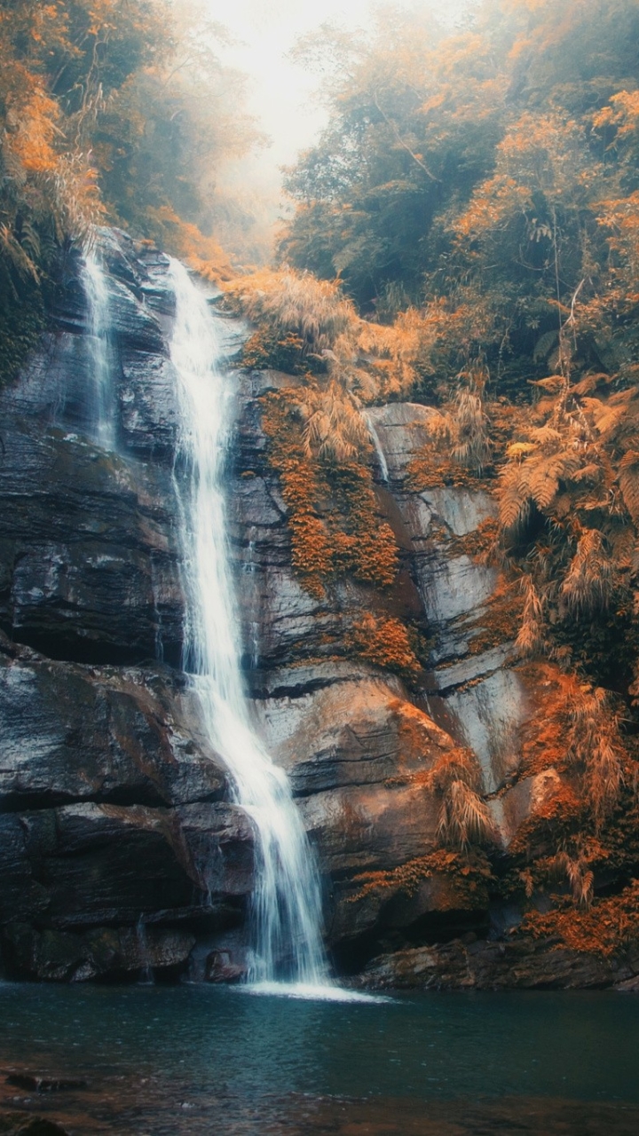 Descarga gratuita de fondo de pantalla para móvil de Otoño, Cascadas, Cascada, Niebla, Tierra/naturaleza.