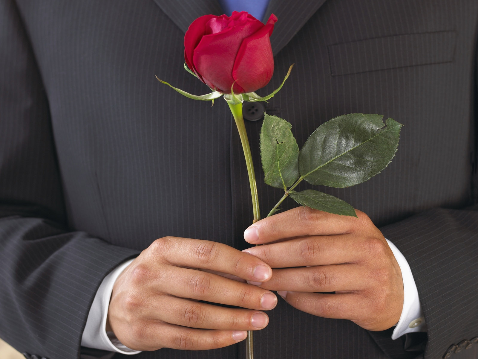 Baixe gratuitamente a imagem Rosa, Dia Dos Namorados, Feriados na área de trabalho do seu PC