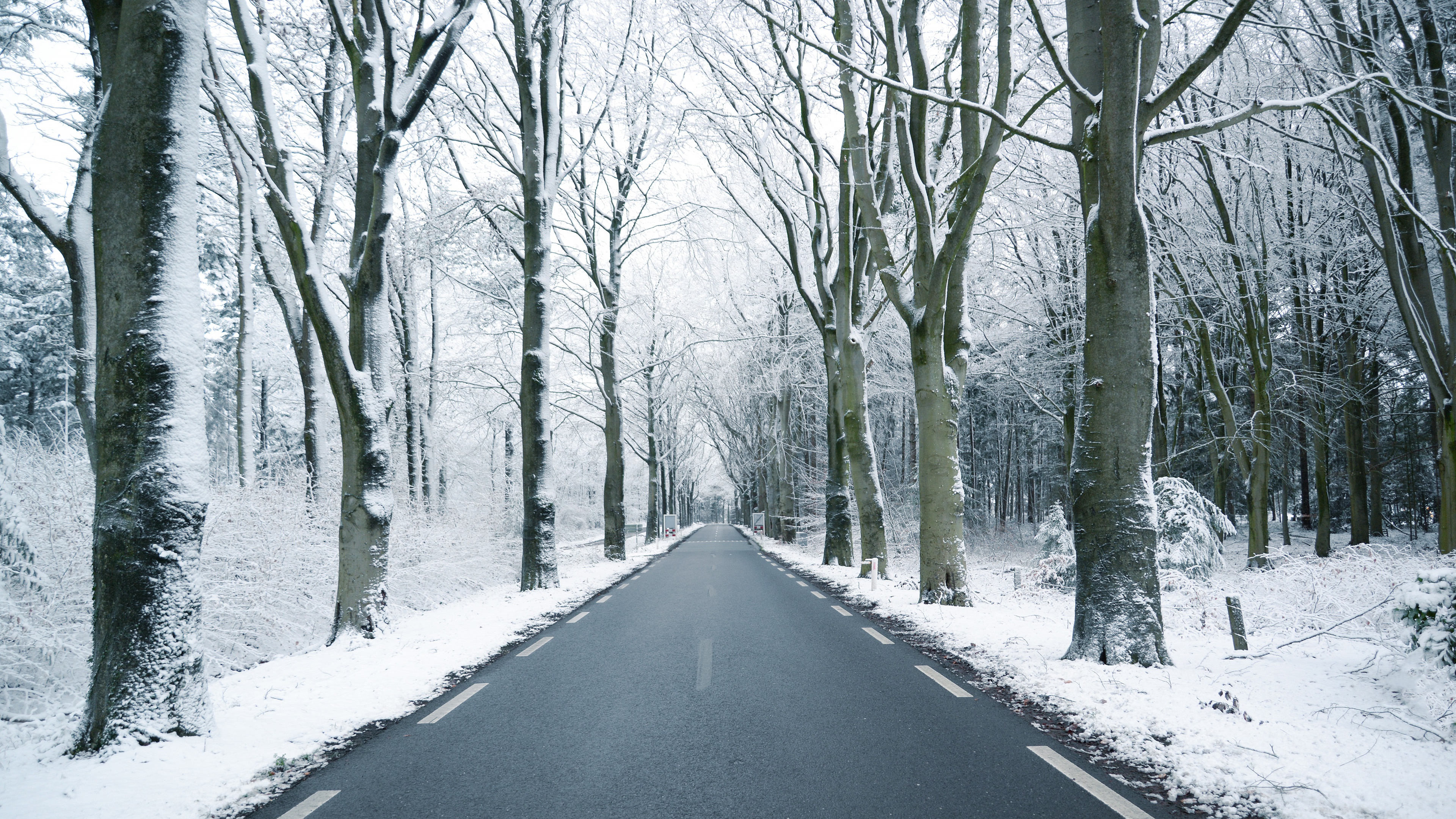 Handy-Wallpaper Winter, Schnee, Straße, Baum, Menschengemacht kostenlos herunterladen.