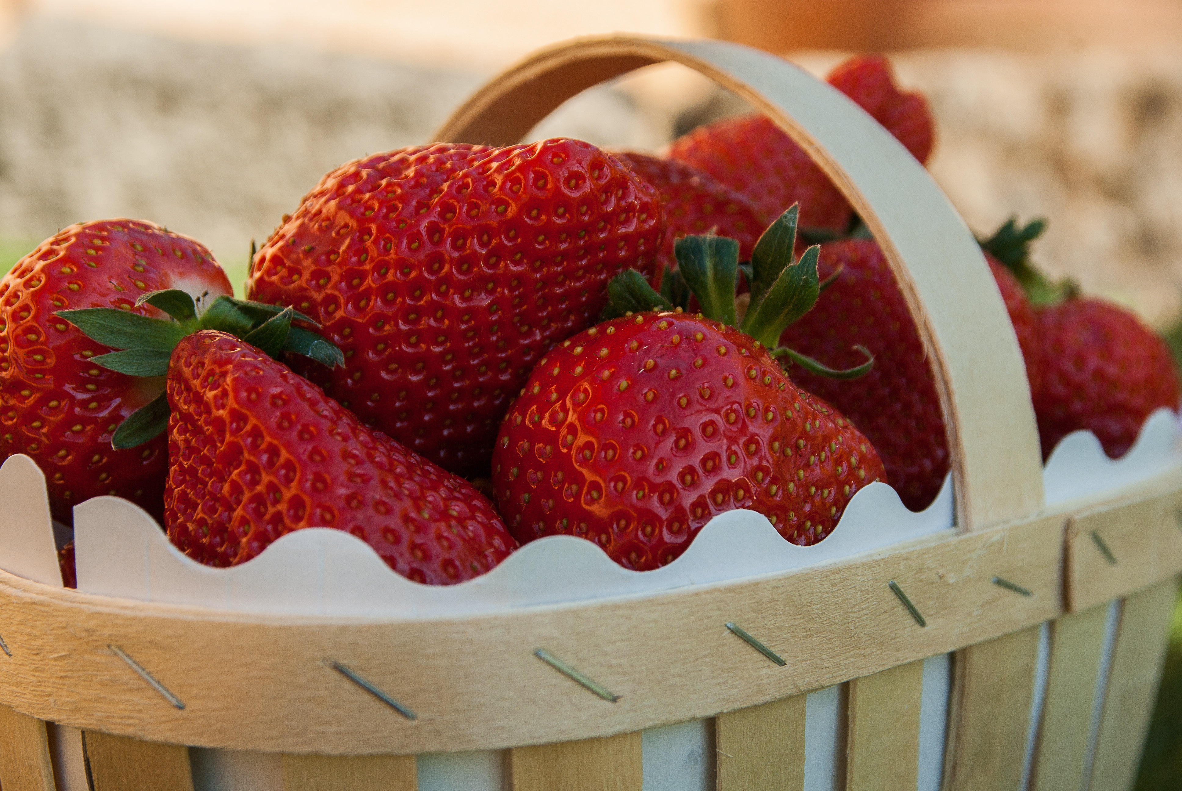 food, strawberry, berries, basket, ripe