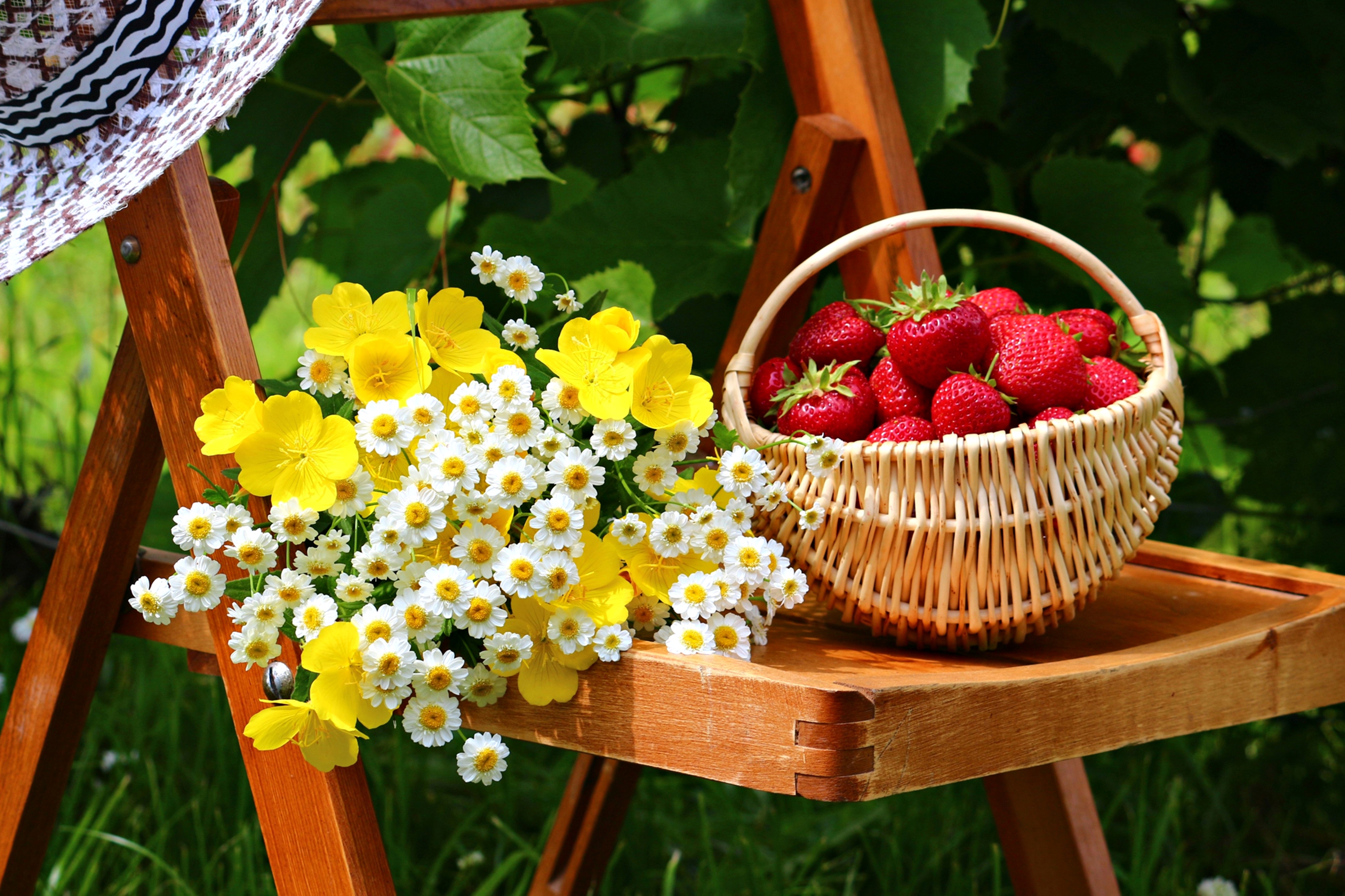 Free download wallpaper Strawberry, Still Life, Flower, Basket, Photography on your PC desktop