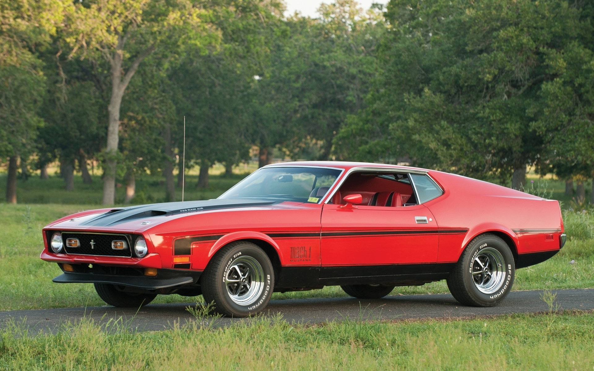 vehicles, ford mustang mach 1, classic car, fastback, ford, muscle car