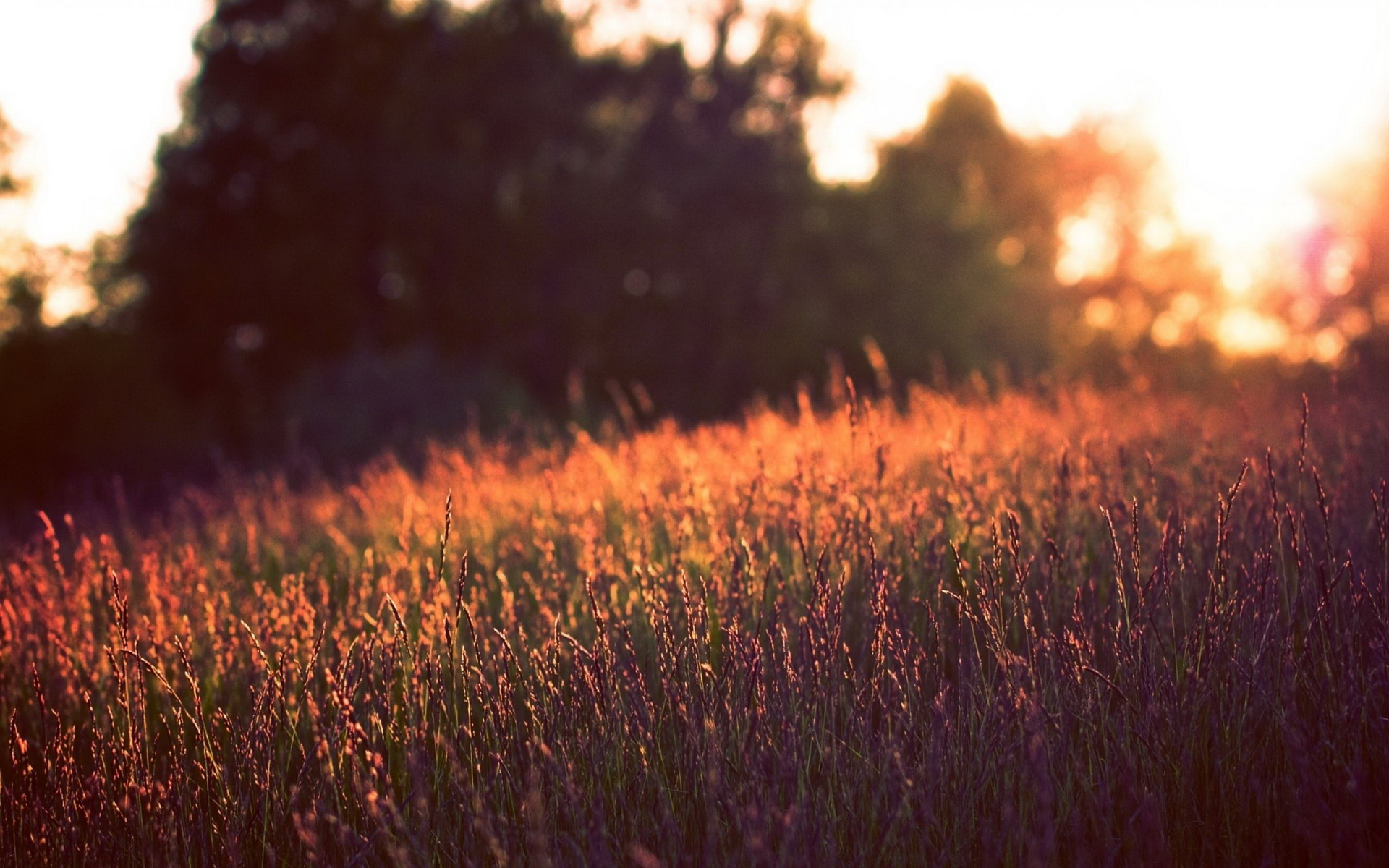 Baixe gratuitamente a imagem Pôr Do Sol, Terra/natureza na área de trabalho do seu PC