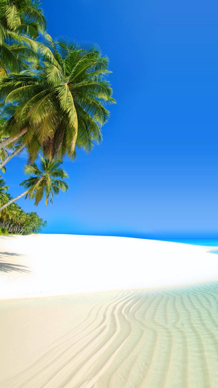 Descarga gratuita de fondo de pantalla para móvil de Playa, Tierra, Isla, Tropical, Tierra/naturaleza, Palmera, Tropico.