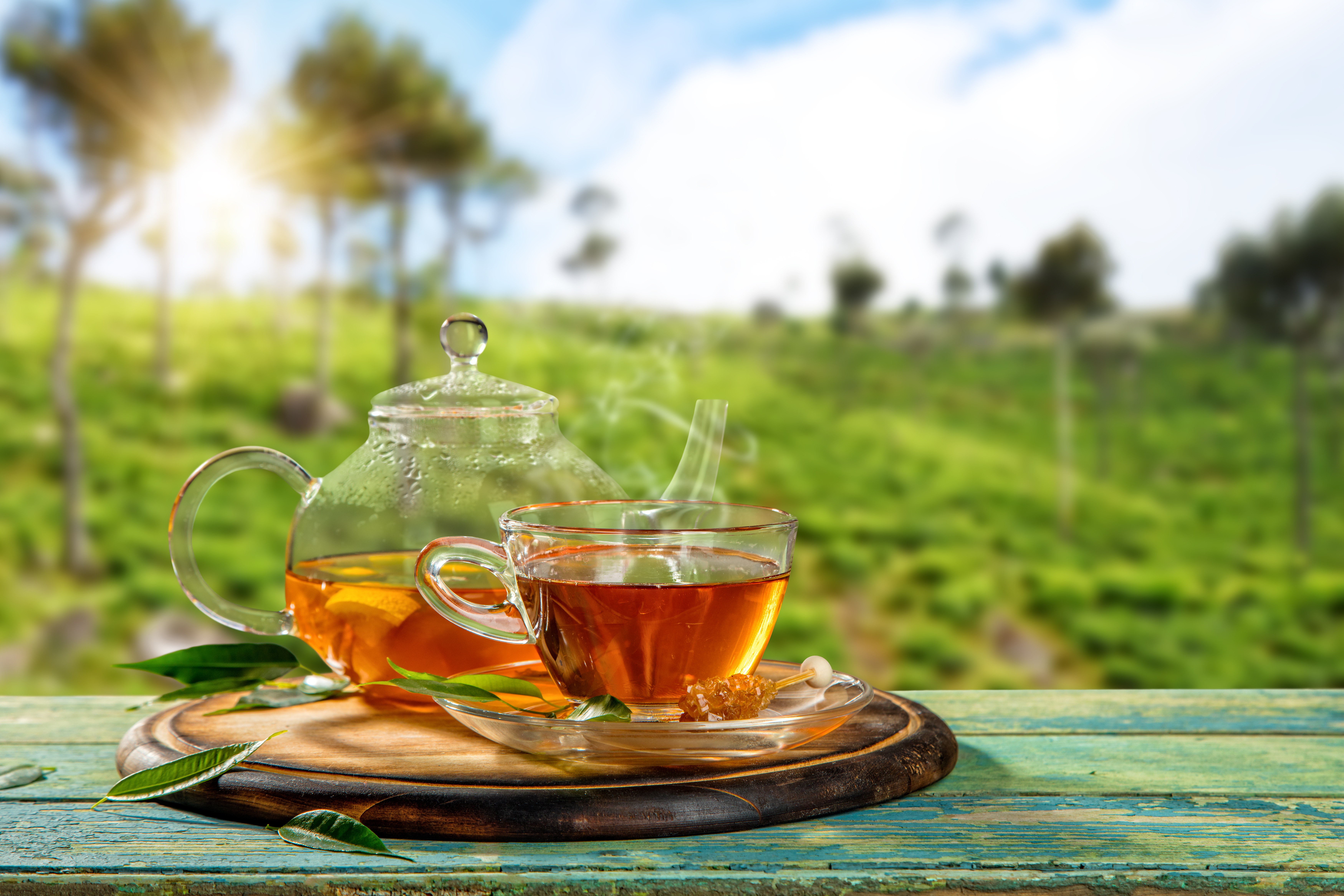 Download mobile wallpaper Food, Cup, Tea, Teapot, Depth Of Field for free.