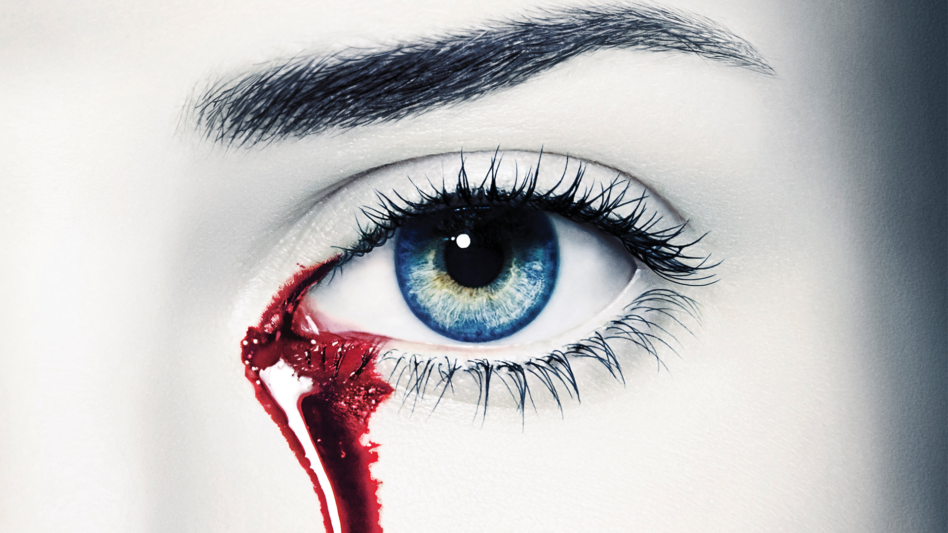 Baixe gratuitamente a imagem True Blood, Programa De Tv na área de trabalho do seu PC