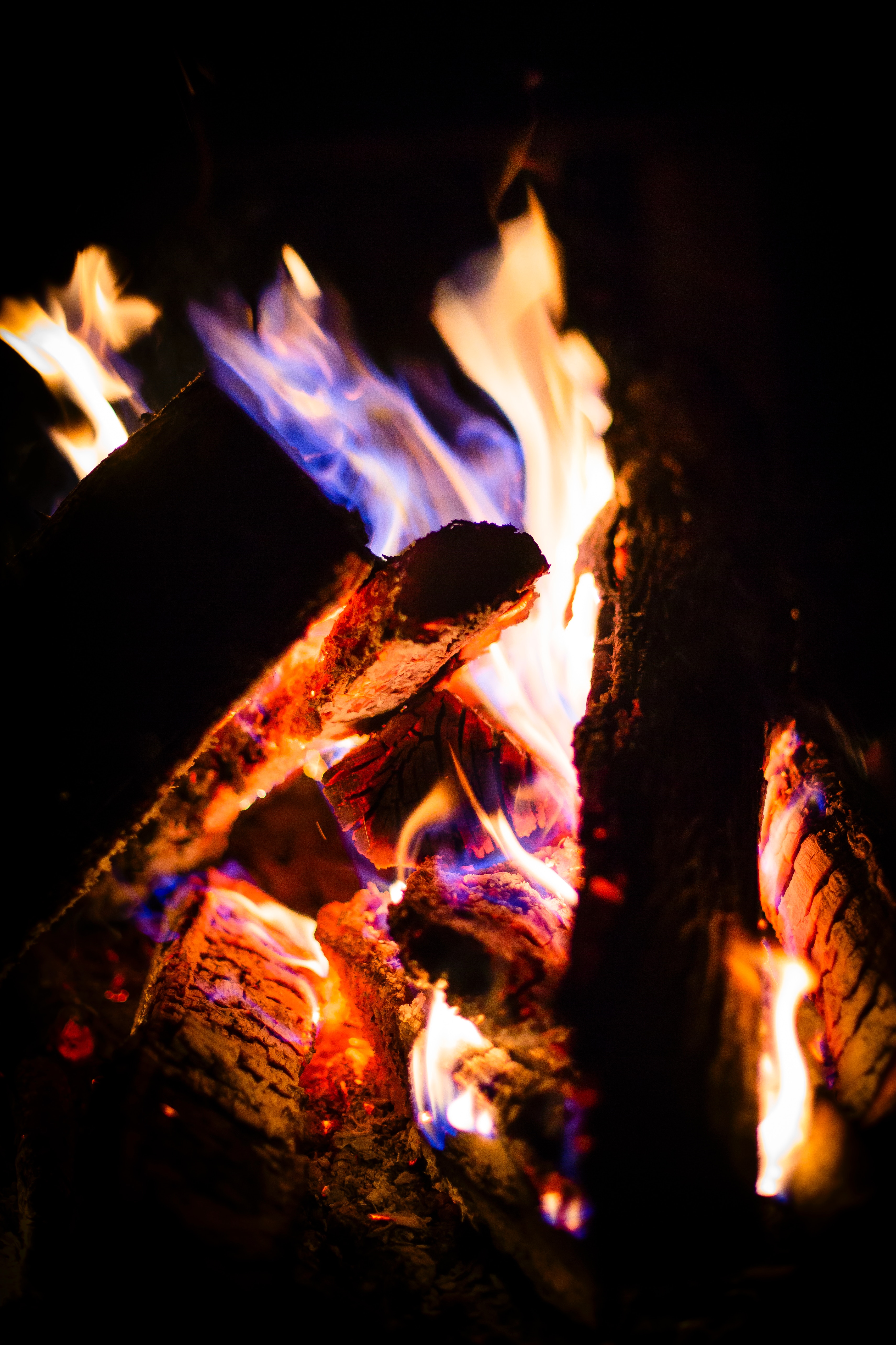 fire, bonfire, dark, flame, firewood, ash