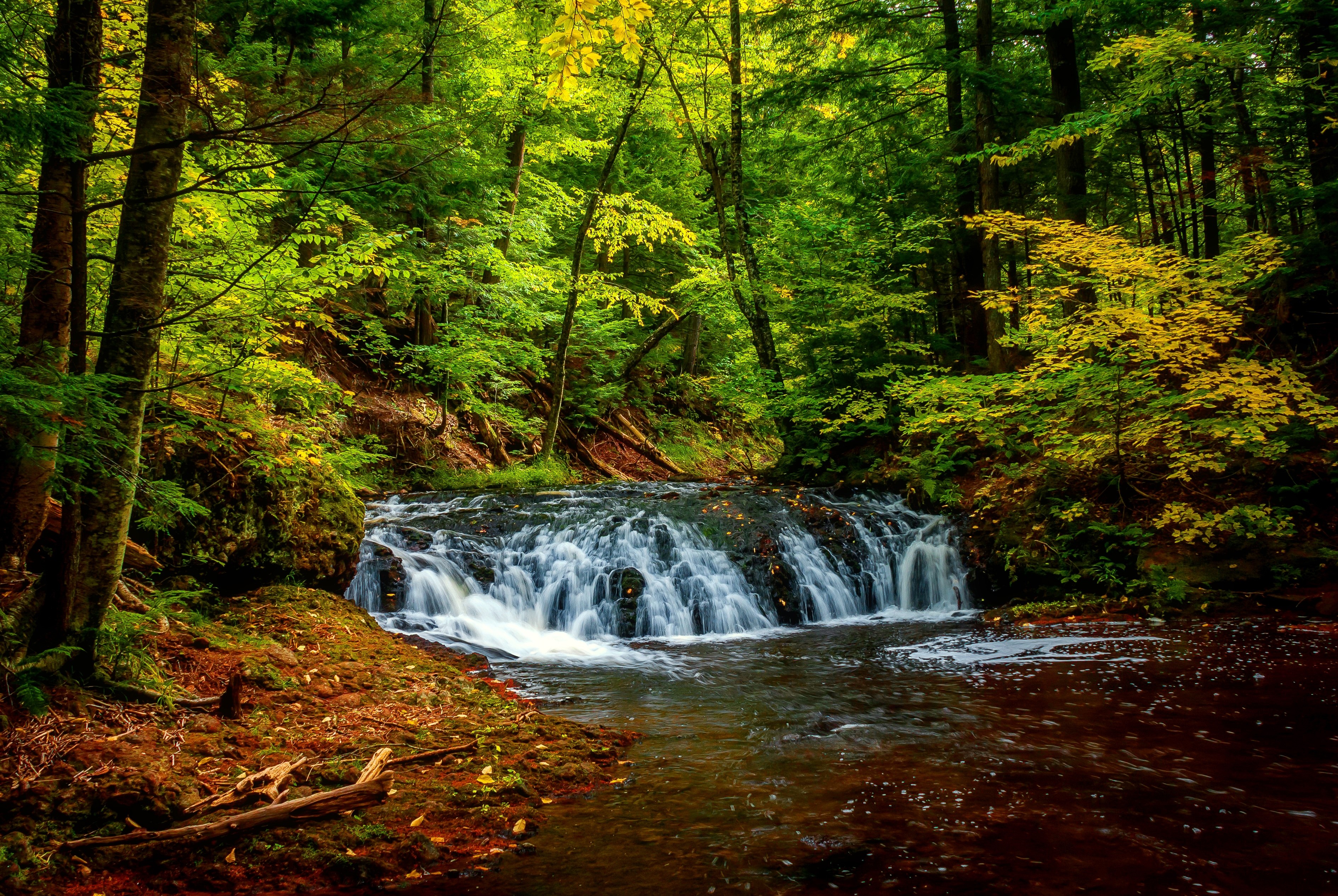 Handy-Wallpaper Wald, Fluss, Erde/natur kostenlos herunterladen.