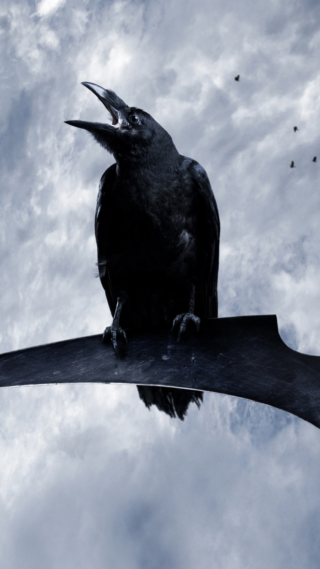 Download mobile wallpaper Birds, Bird, Animal, Raven, Crow, Scythe for free.