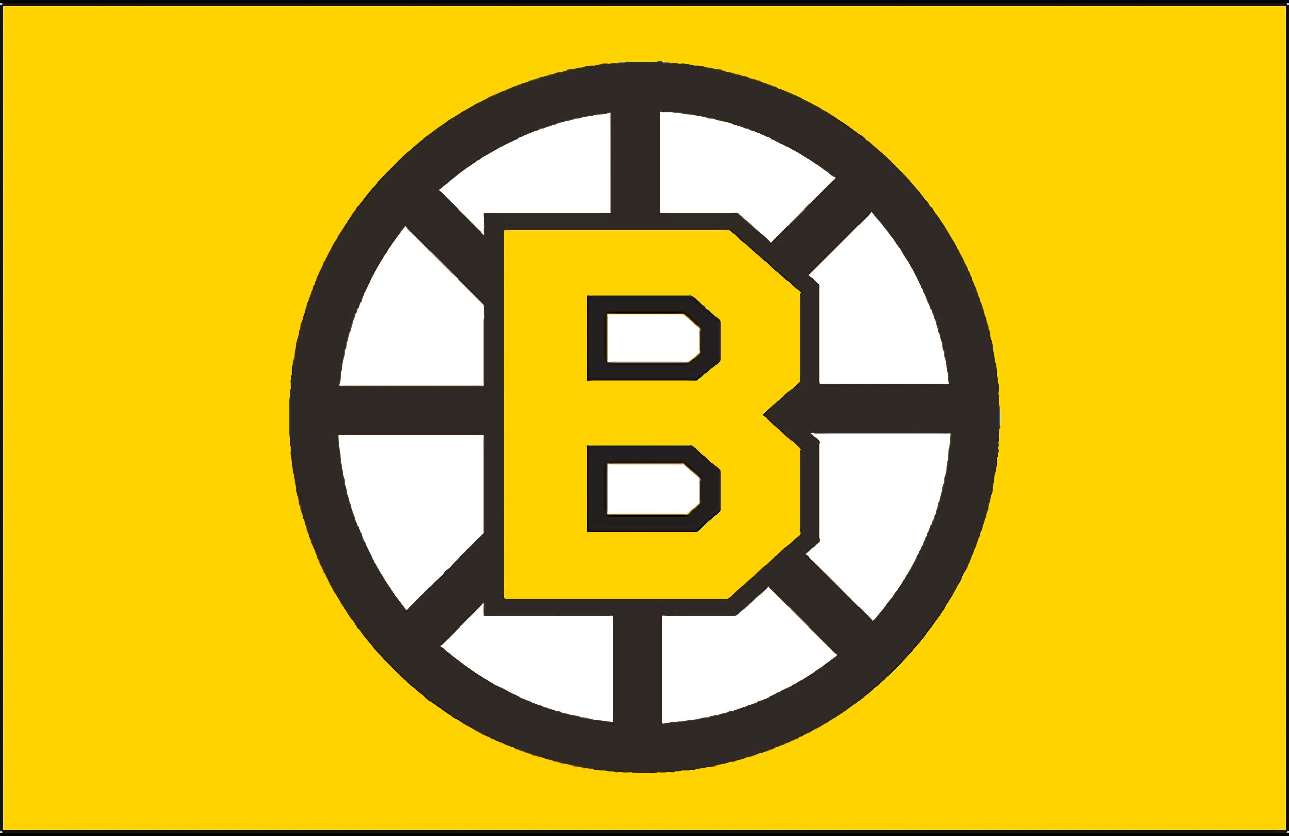 Baixar papel de parede para celular de Esportes, Hóquei, Boston Bruins gratuito.