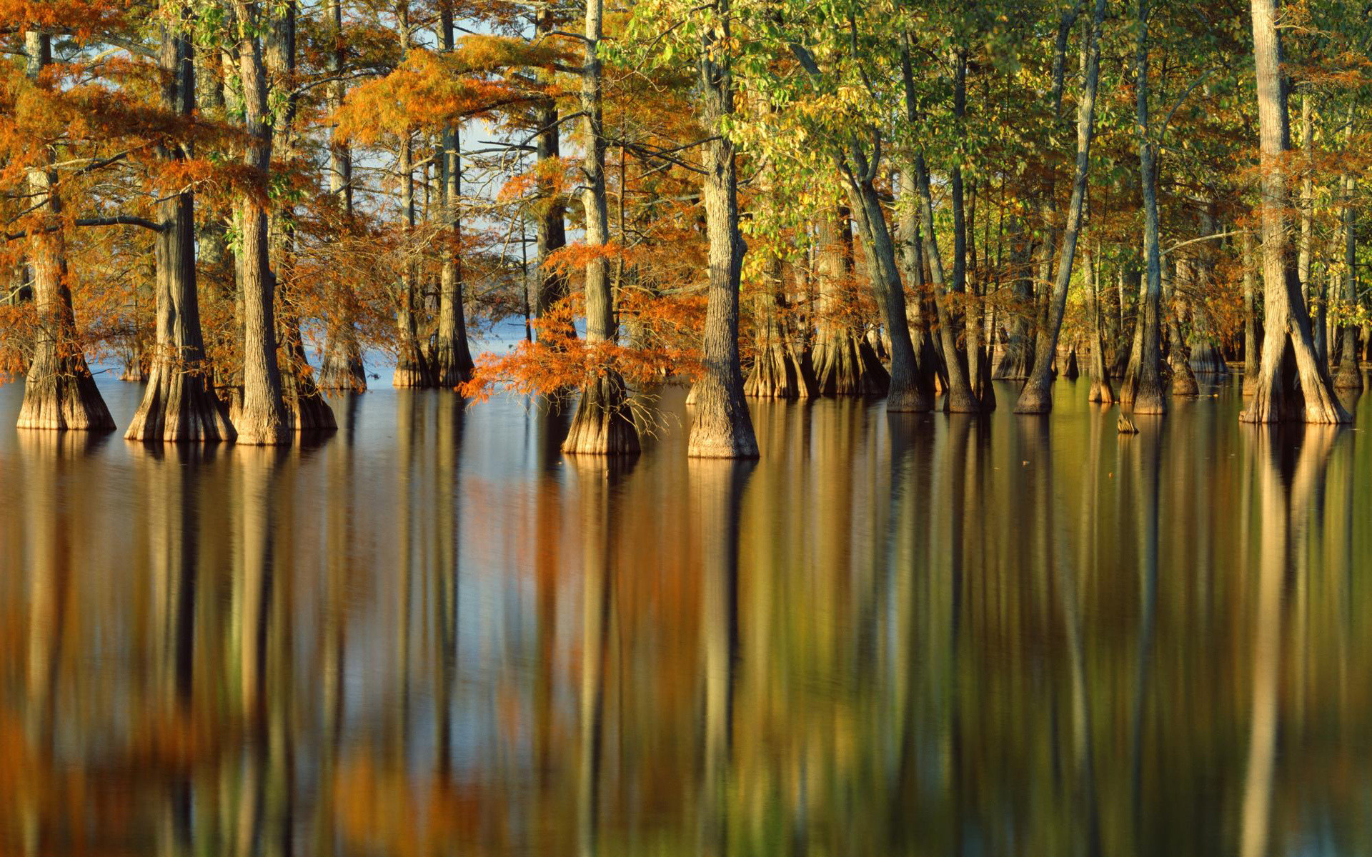 Descarga gratuita de fondo de pantalla para móvil de Tierra/naturaleza, Reflejo.