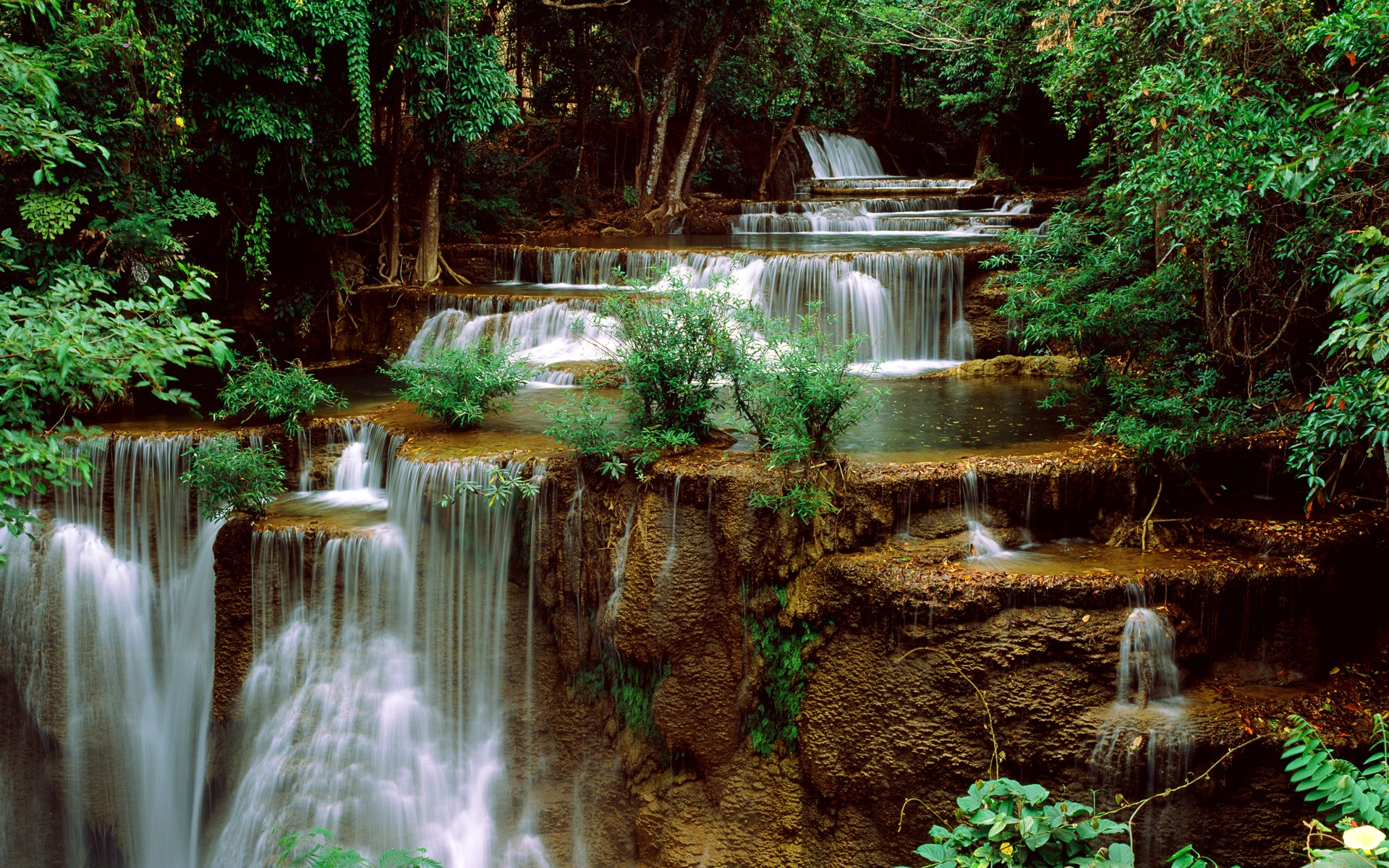nature, earth, waterfall, vegetation, water, waterfalls
