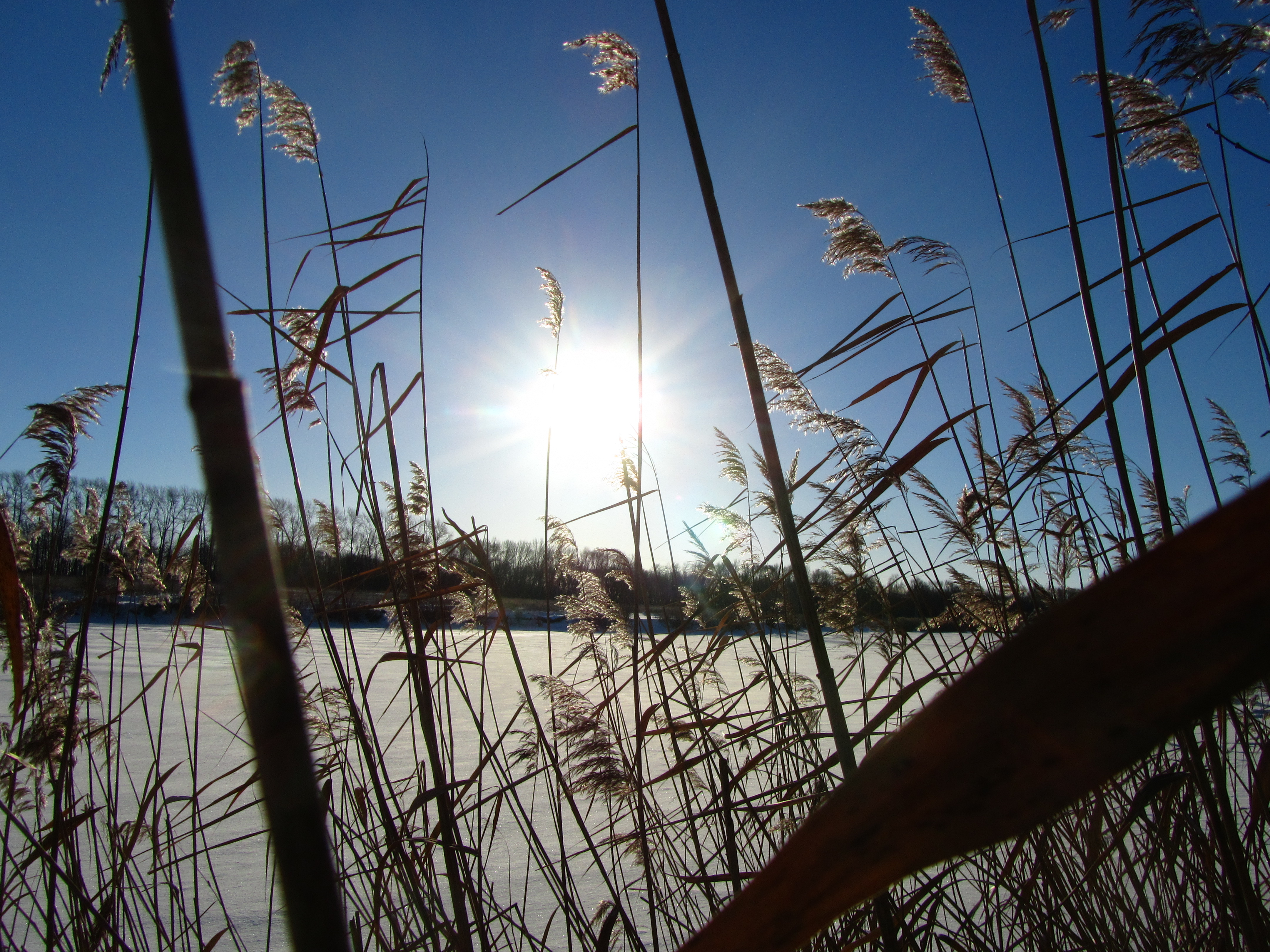 Free download wallpaper Earth, Sunbeam on your PC desktop