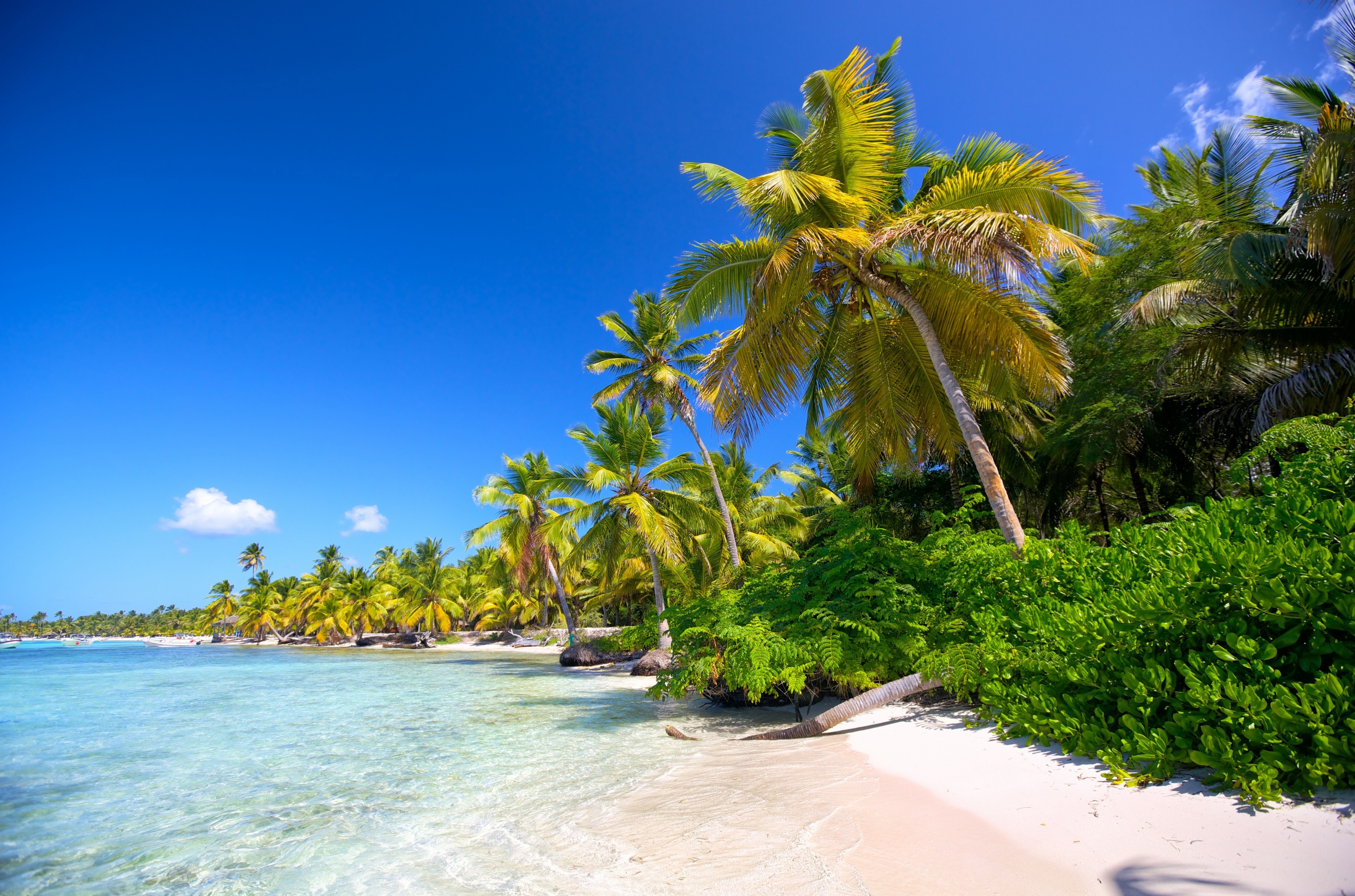 662082 Hintergrundbild herunterladen tropen, fotografie, tropisch, lagune, palme, strand - Bildschirmschoner und Bilder kostenlos