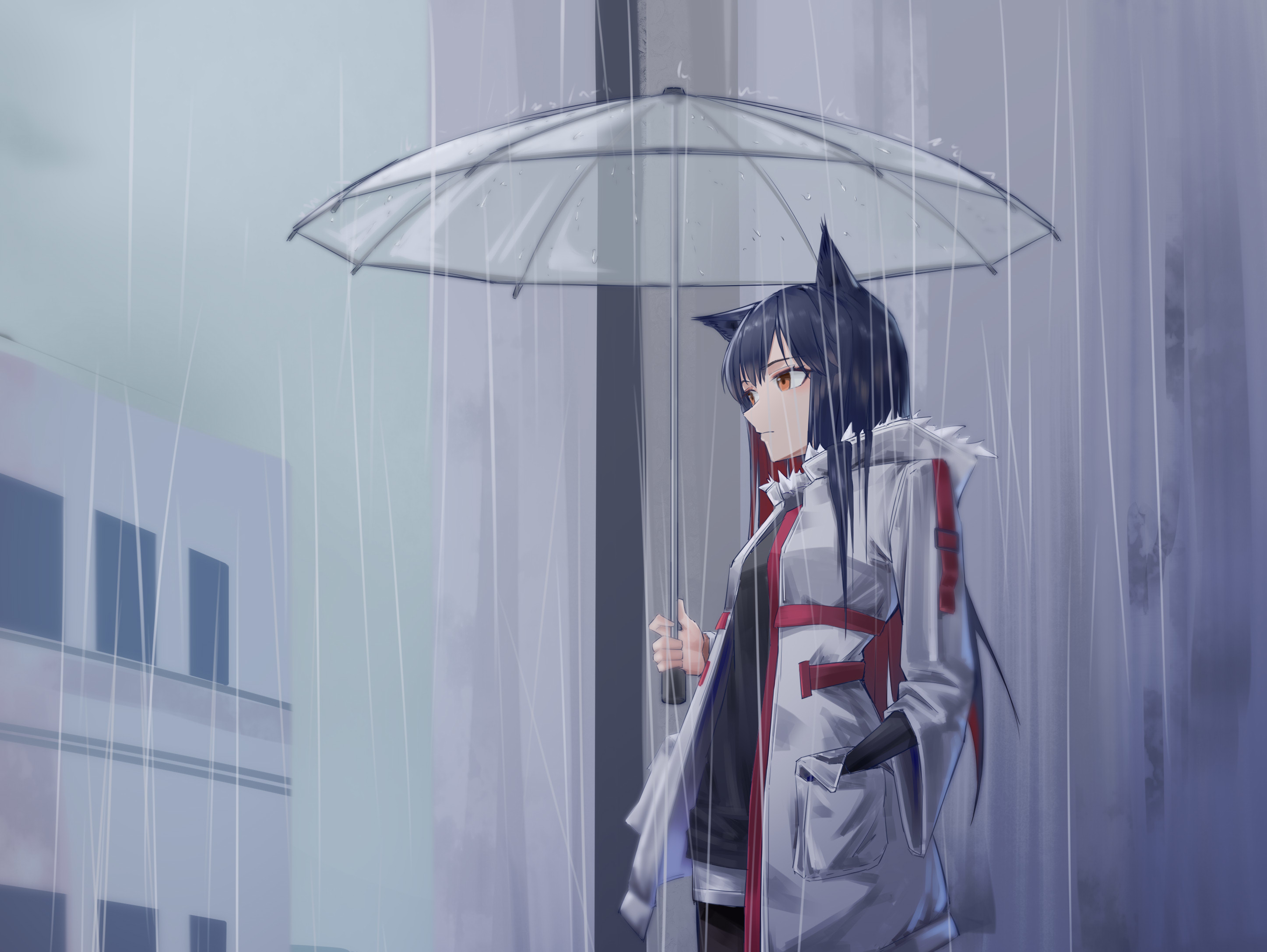Download mobile wallpaper Umbrella, Video Game, Animal Ears, Arknights, Texas (Arknights) for free.