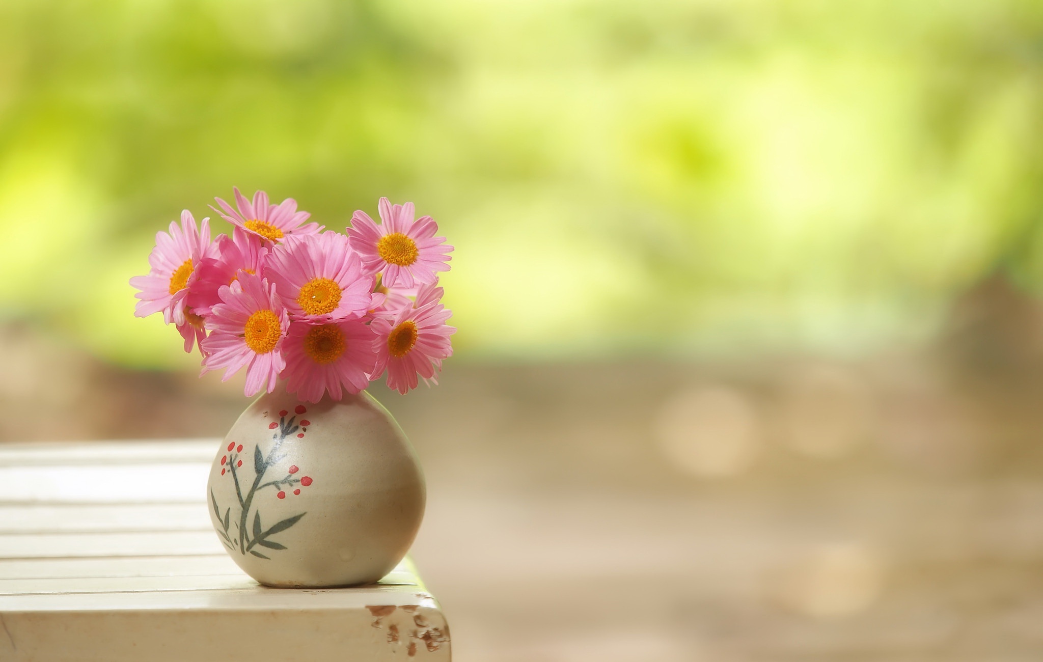 Free download wallpaper Flower, Vase, Daisy, Man Made on your PC desktop