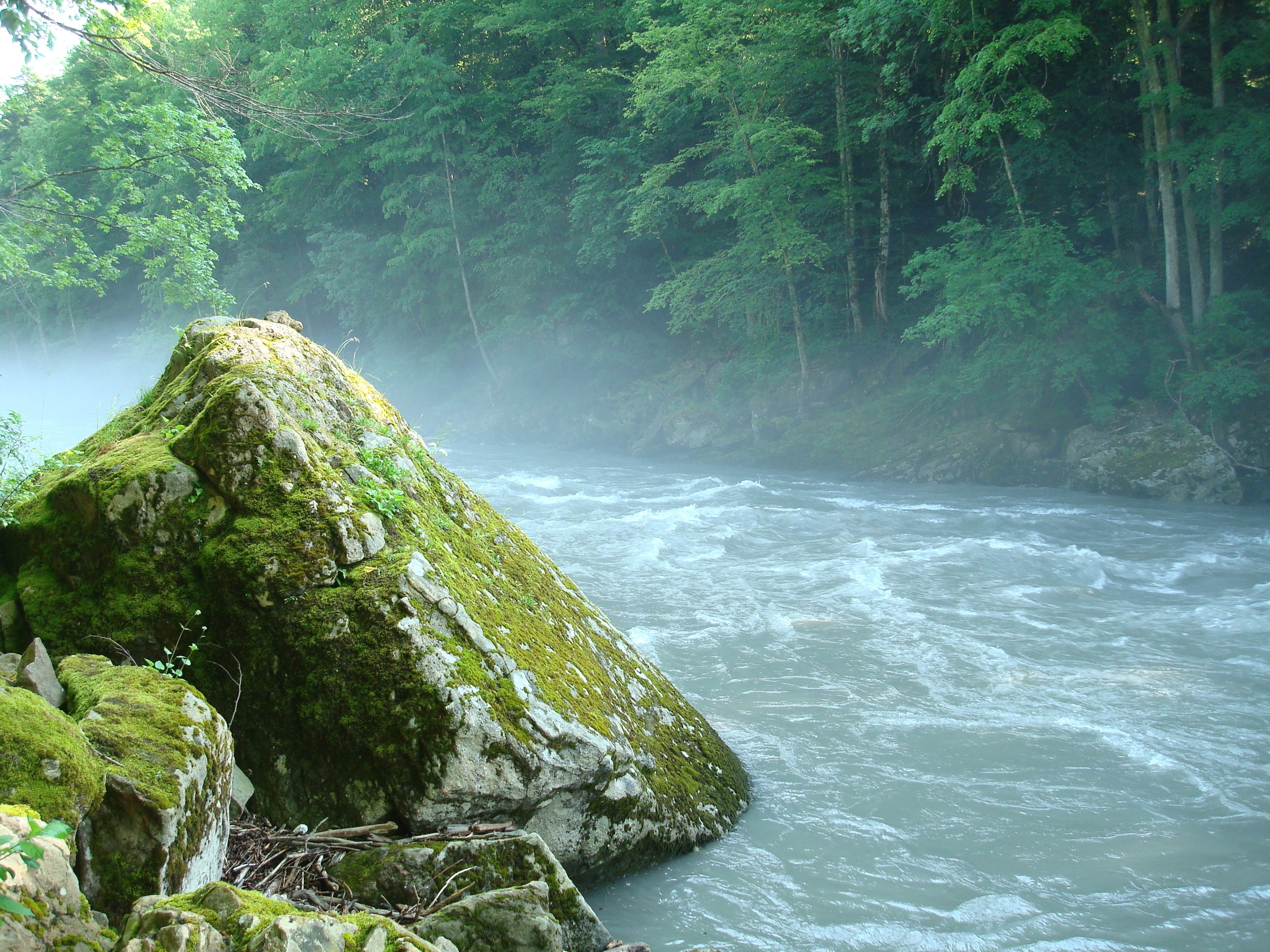 nature, rock, stone, moss, mountain river, adygea