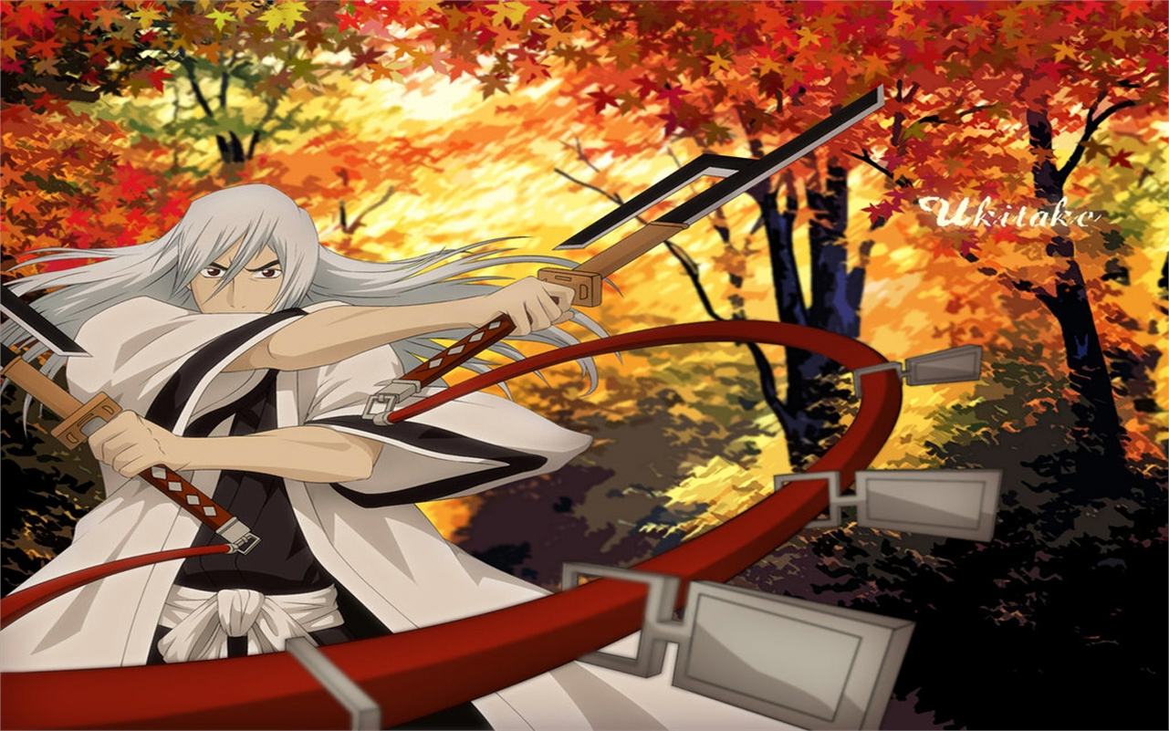 Laden Sie das Bleach, Animes, Jūshirō Ukitake-Bild kostenlos auf Ihren PC-Desktop herunter