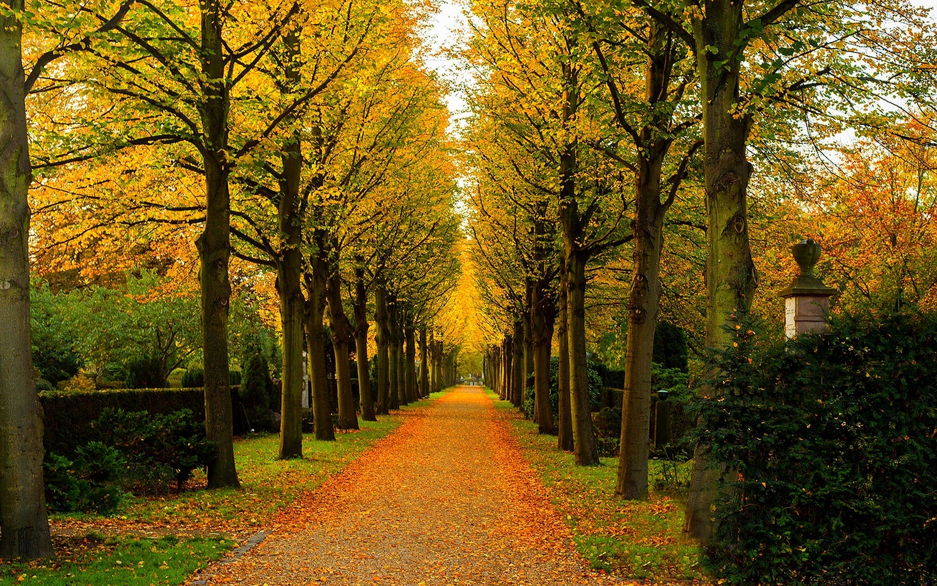 Free download wallpaper Park, Fall, Earth, Path, Photography on your PC desktop